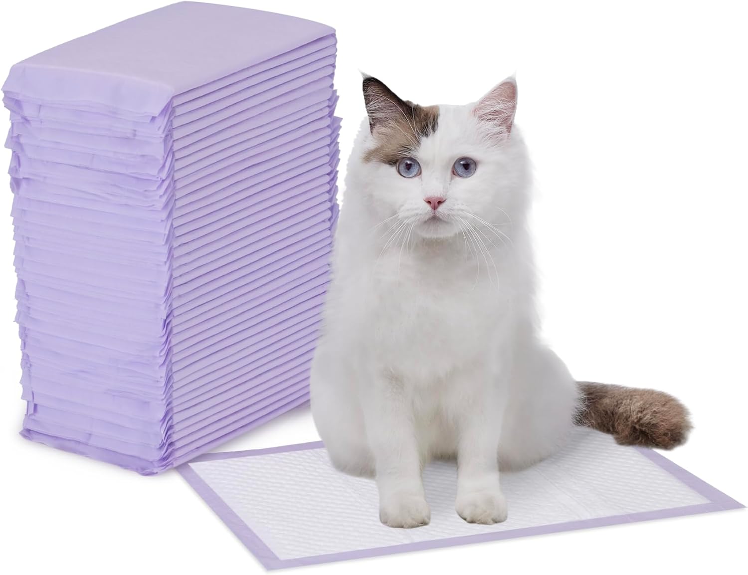 Thumbnail 6 de Amazon Basics Fresh Scent Cat Litter Pads — 100 Pack (Universal Fit) for Litter Boxes and Carriers