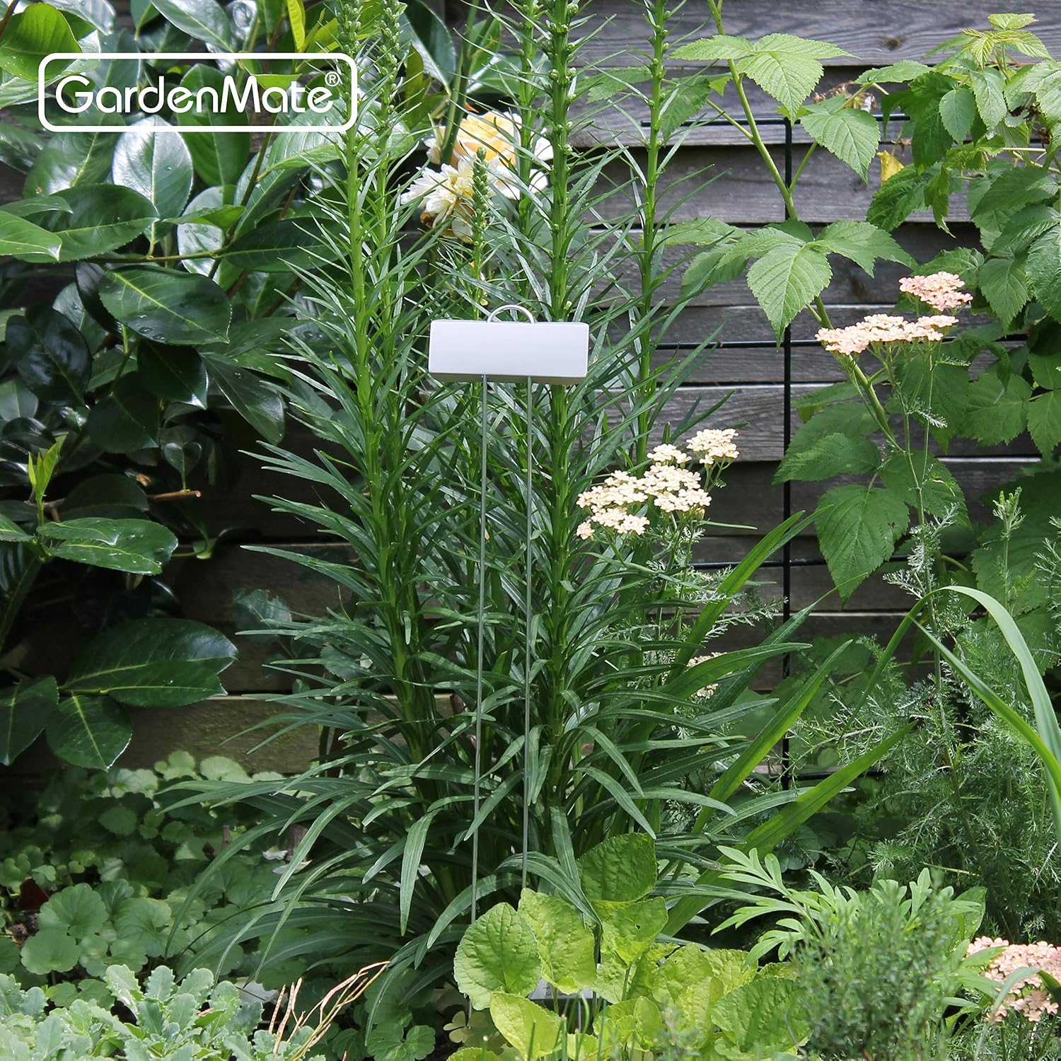 Detalle de Messaggio GardenMate 25 pezzi XL 55 cm: etichette da giardino in zinco metallico