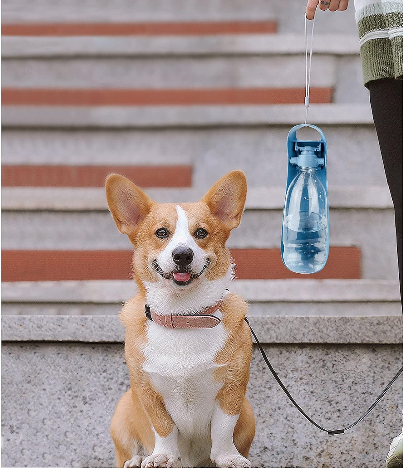 Detalle 2 de NAMSAN 550 ml Dog Water Bottle for On-the-Go Hydration