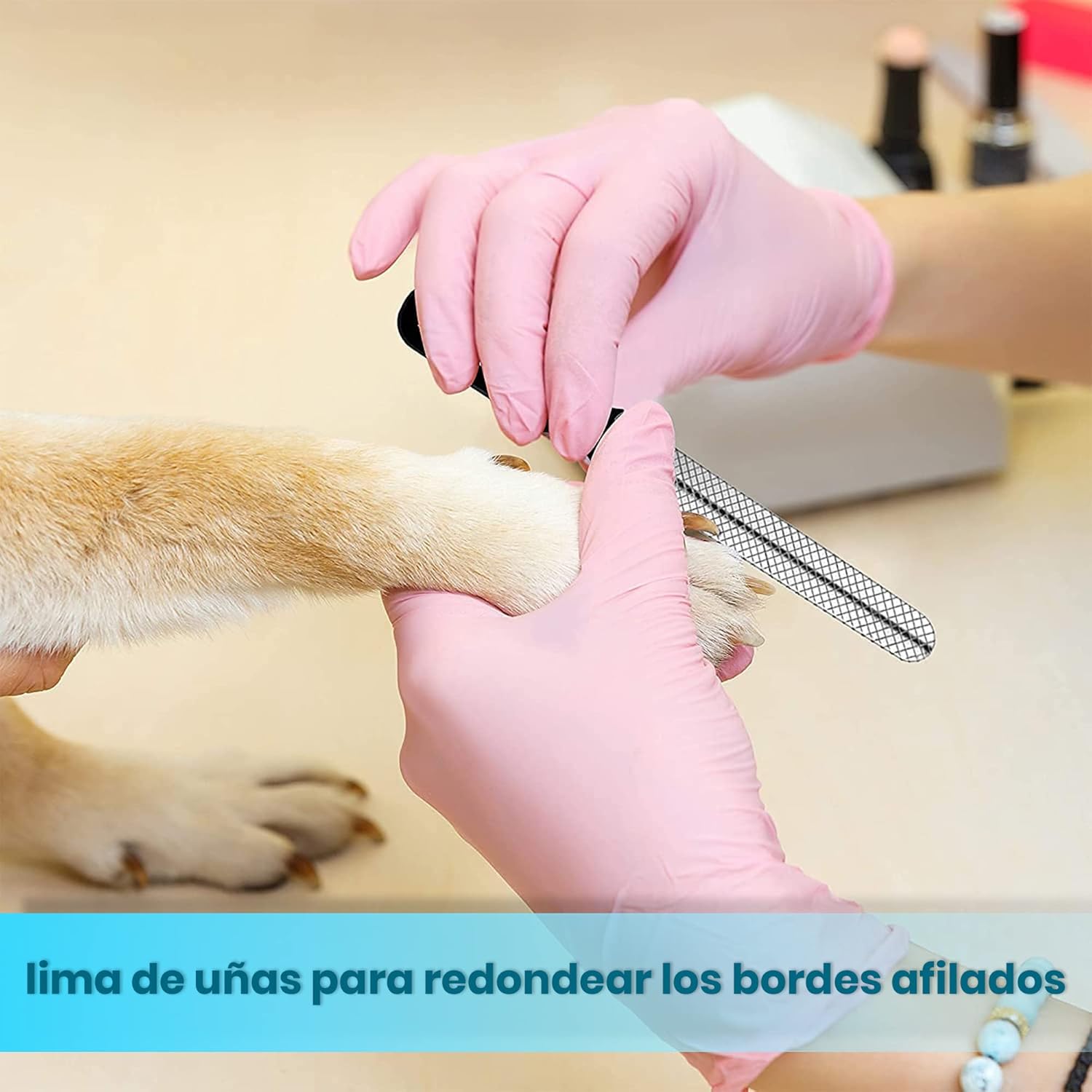 Thumbnail 4 de Candure Cortauñas 6" acero inoxidable