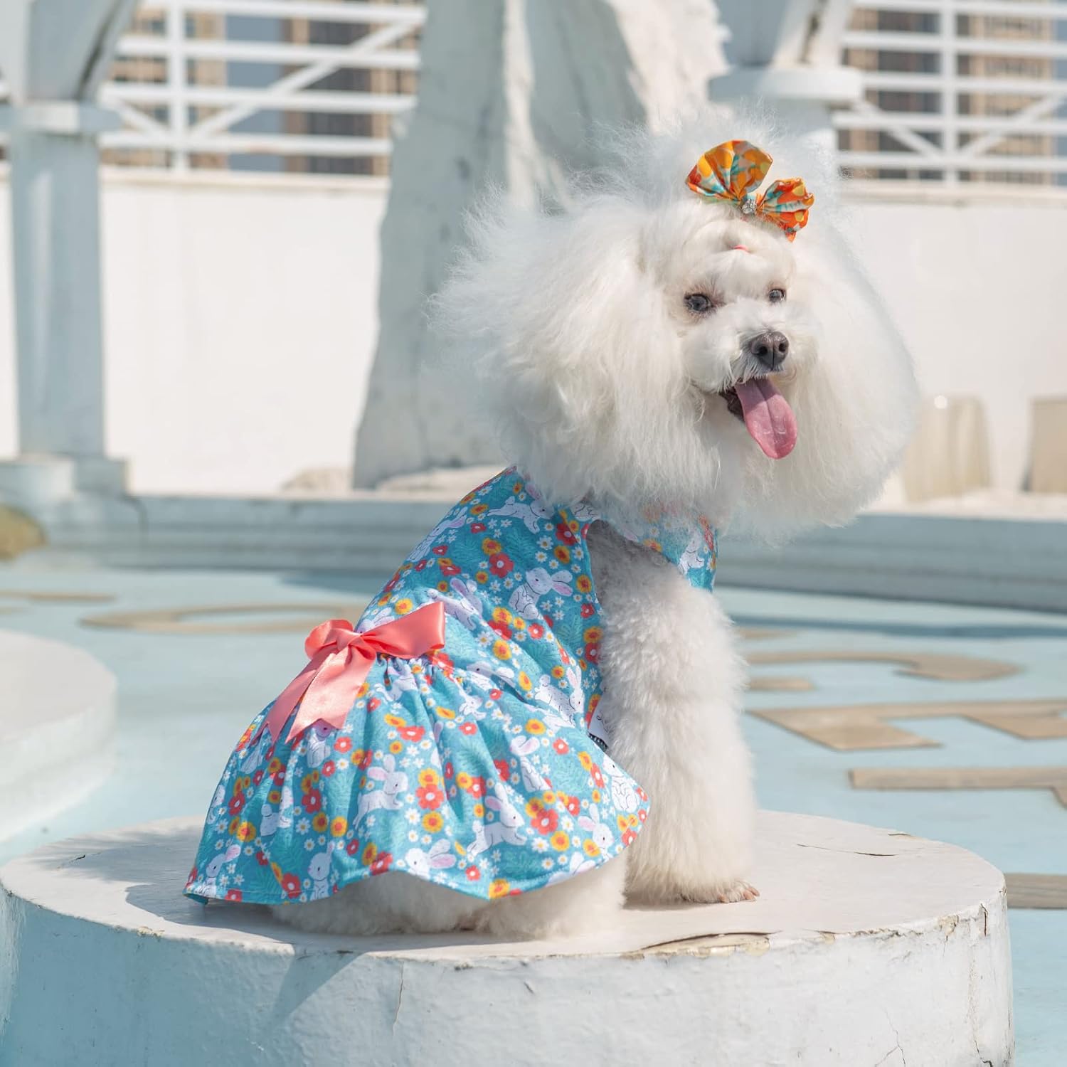 Thumbnail 6 de CuteBone Dog Dress, XX-Small
