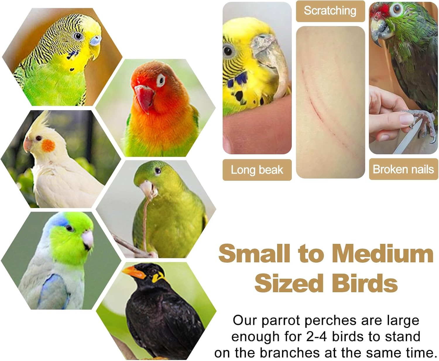 Thumbnail 6 de QZDAFFIC 6PCS Parrot Perch Bird Perches for Cage – Natural Pepper Wood Platform