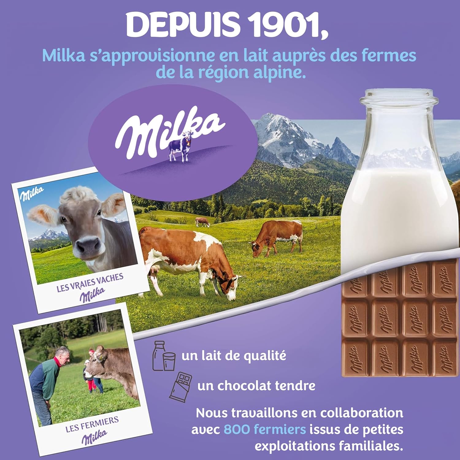 Detalle de Milka Choco Moo - Biscuit nappé au chocolat au lait, Présentoir 24 paquets (40 g chacun)