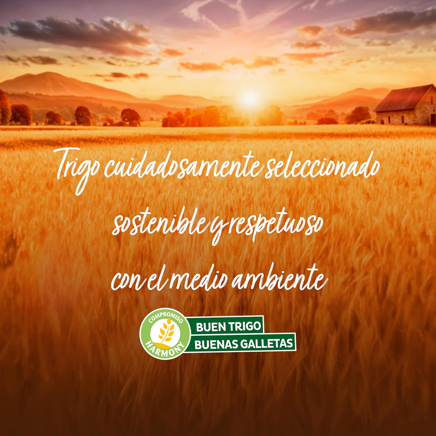 Thumbnail 4 de Fontaneda Yayitas Galletas Doradas al Horno 🍪, 72% Cereales, 600 g