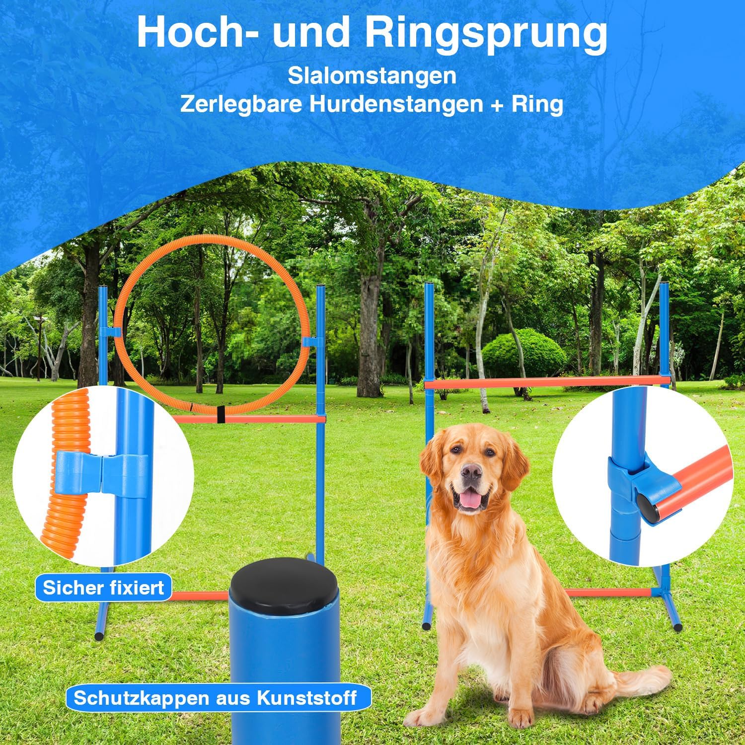 Detalle de Hebitod Agility Set Hunde – 5-teiliges Set für flexibles Hundetraining (Slalom, Hürde, Sprungring, Tunnel)