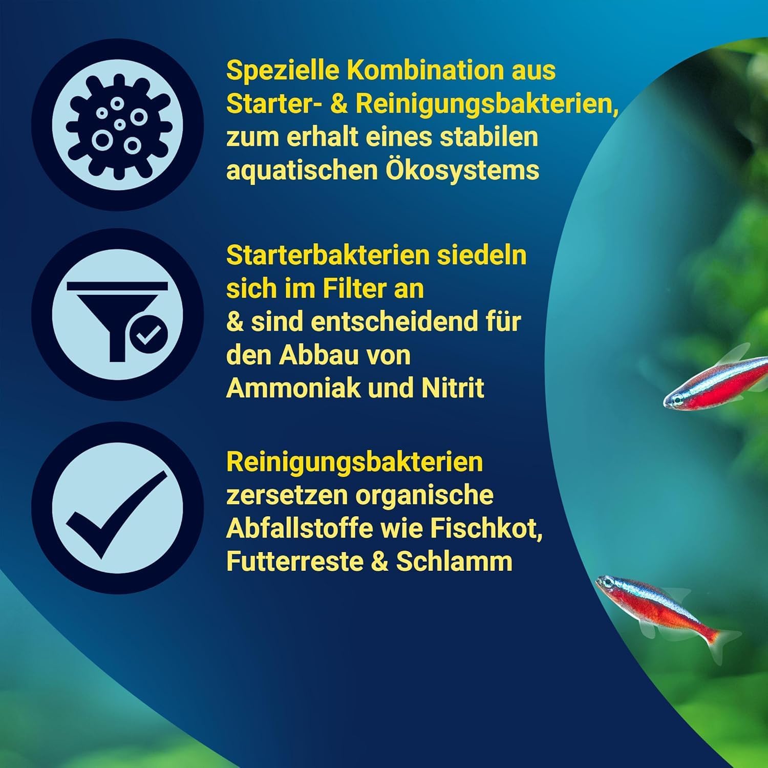 Thumbnail 3 de Tetra FilterActive Bacteria 2in1 – Starterbakterien + Schlammabbau für Süßwasseraquarien (250 ml)