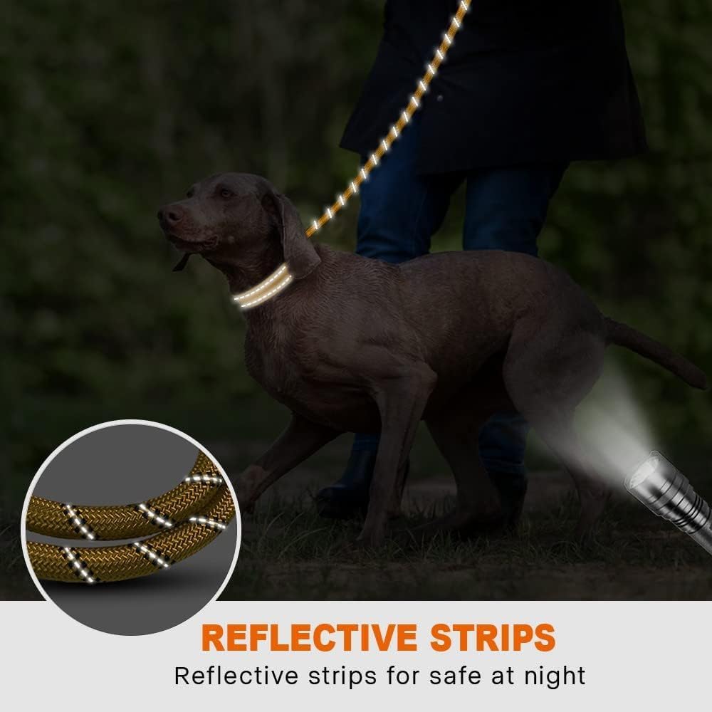 Thumbnail 4 de Taglory Hundeleine mit gepolstertem Griff, reflektierend – 180×1,2 cm, gelb