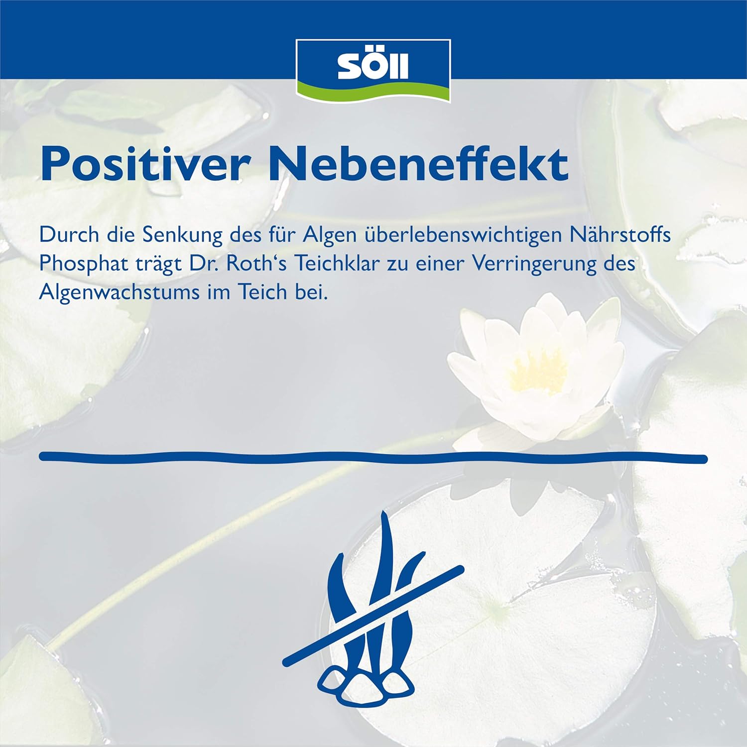 Detalle 2 de Dr. Roth's Teichklar von Söll 80381 – Mikrobiologische Teichpflege für klare Gewässer (1 kg)