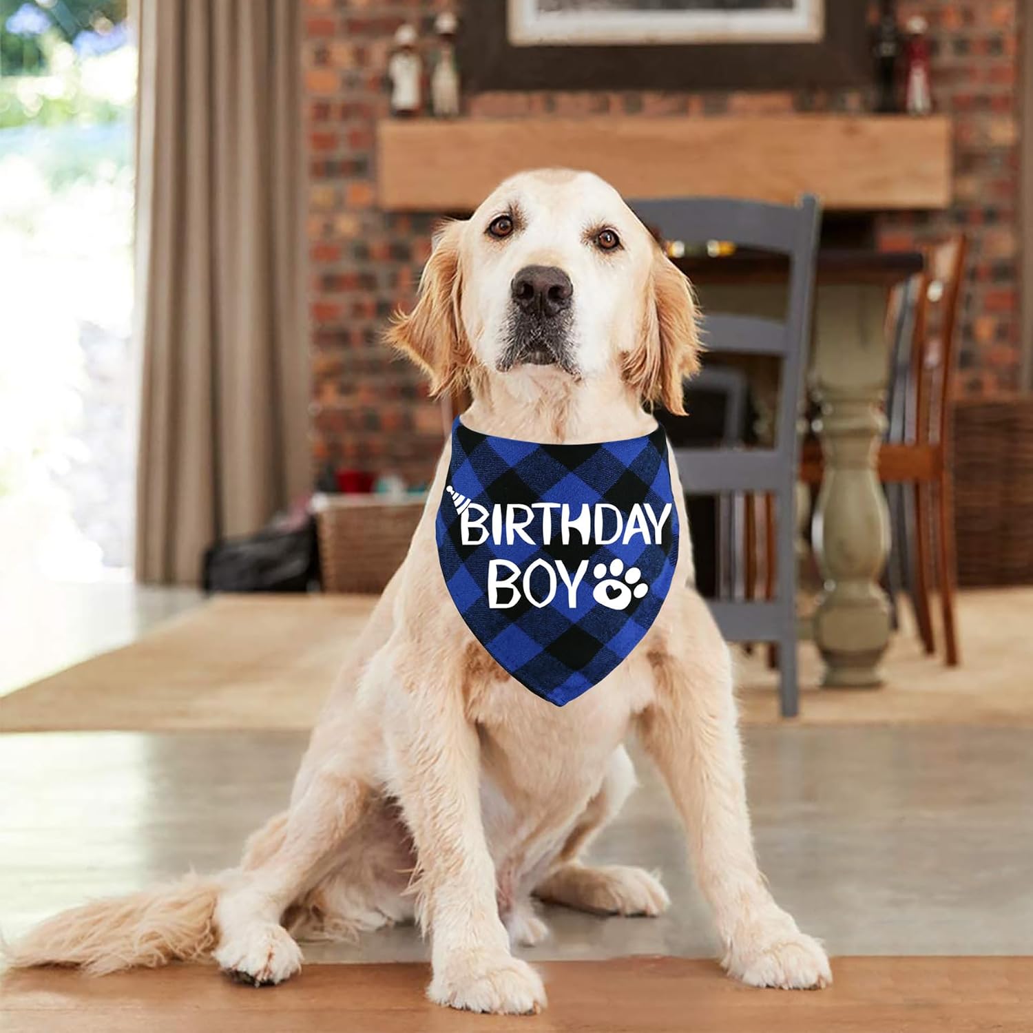 Detalle 1 de STMK Dog Birthday Bandana, X-Large