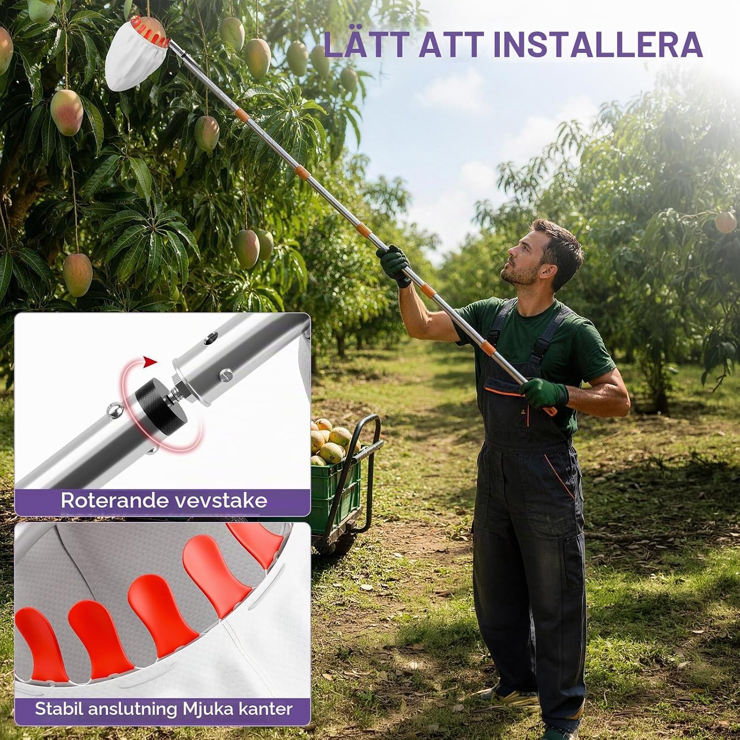 Detalle de Fruktplockare med 6 m skaft, 16 cm öppning och förvaringsväska