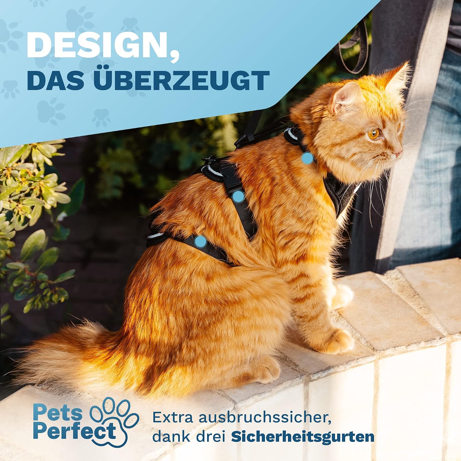 Detalle 2 de Pets Perfect Katzengeschirr S đŸ