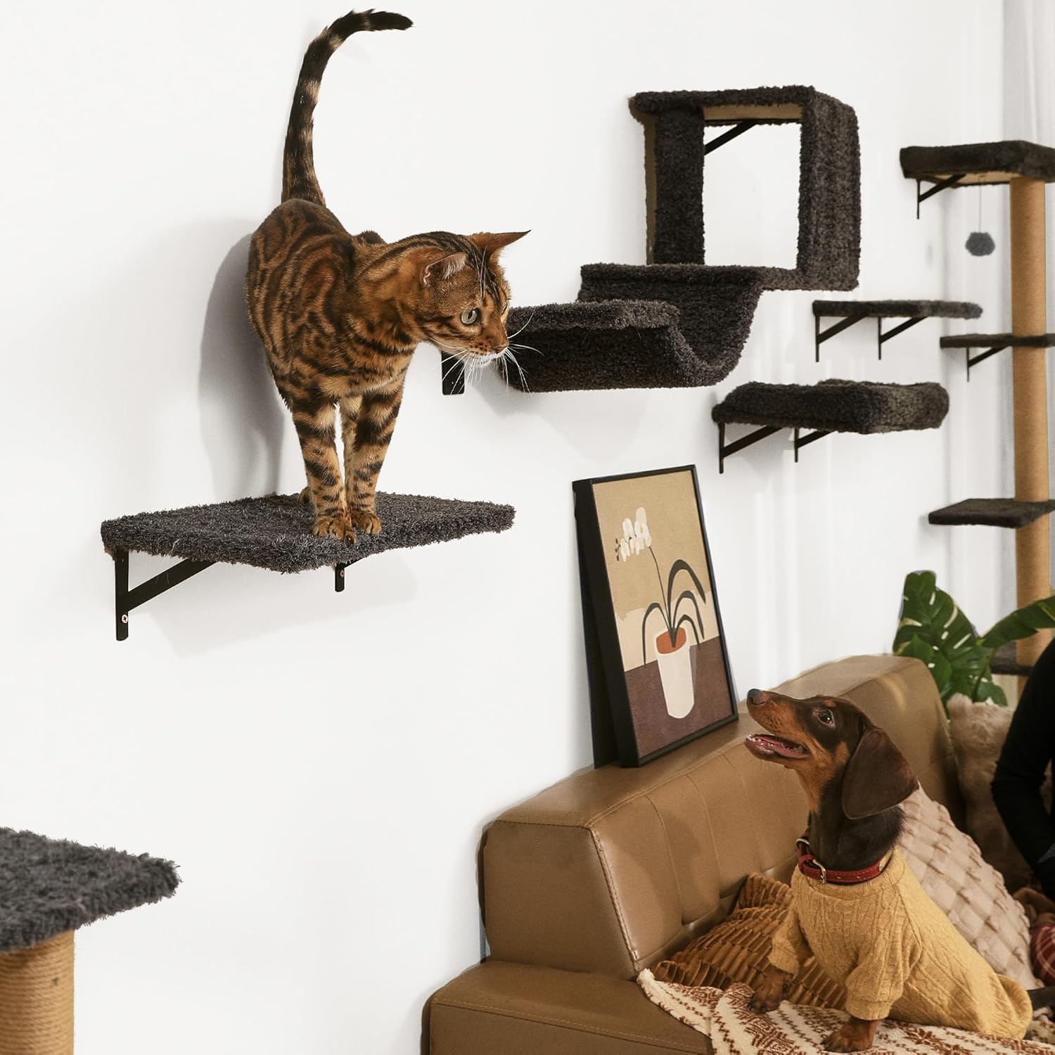 Thumbnail 3 de FUKUMARU 4-in-1 Large Cat Shelves for 16-inch drywall 🐱