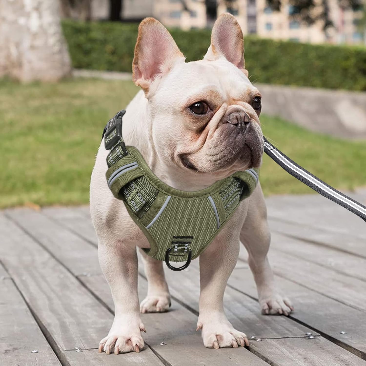 Detalle de HEELE No Pull Dog Harness M with reflective