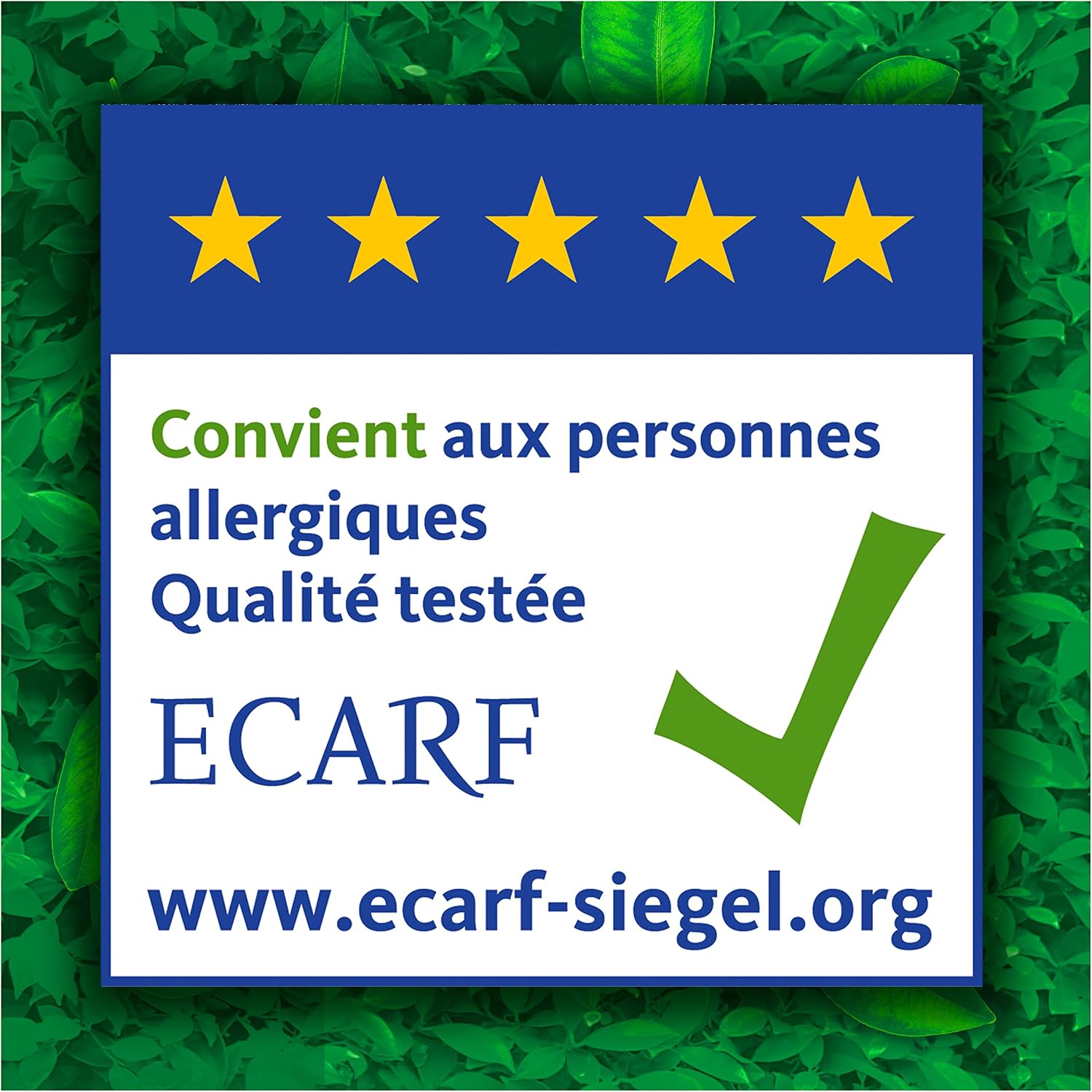 Thumbnail 6 de Ariel All-in-1 PODS Lessive en capsules liquide Fraîcheur + touche de couleur aloe vera (92 lavages)