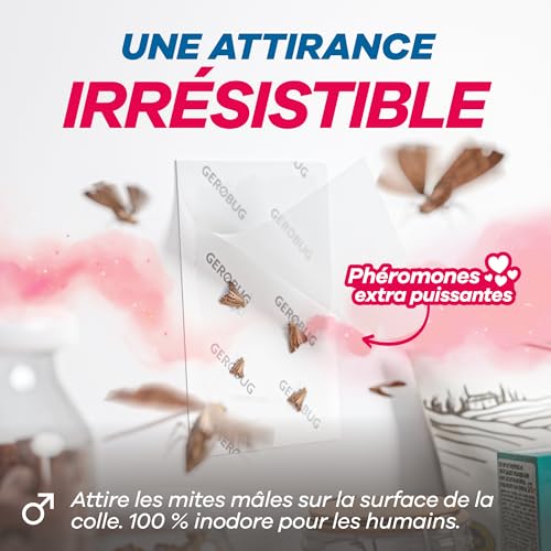 Detalle de GEROBUG Piège à Mites Alimentaires XXL Pack – 10 pièges sans odeur, longue durée