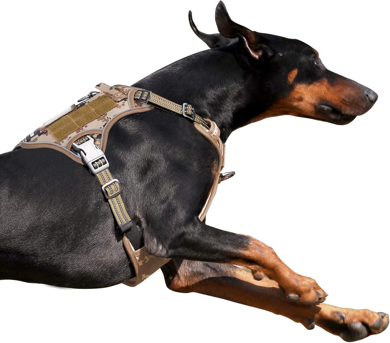 Detalle de BUMBIN Tactical Dog Harness XL