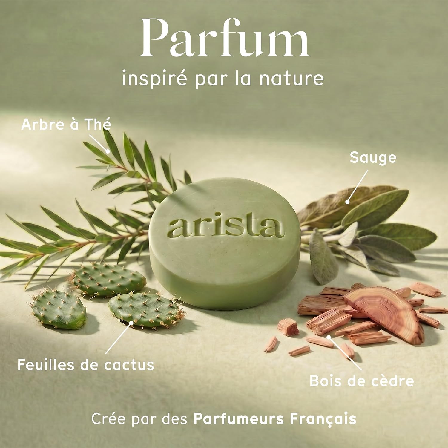 Detalle de Arista Shampoing solide antipelliculaire Tea Tree, Neem & Arnica (sans sulfate, vegan)