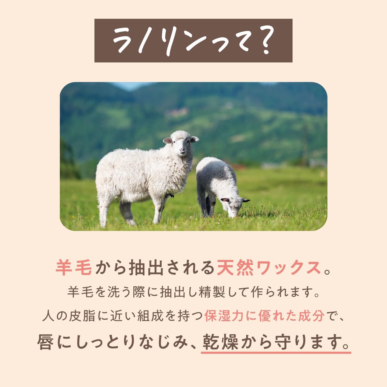 Detalle de daily delight リップバーム プレミアムバニラ 10g 缶入り・濃厚な保湿タイプ