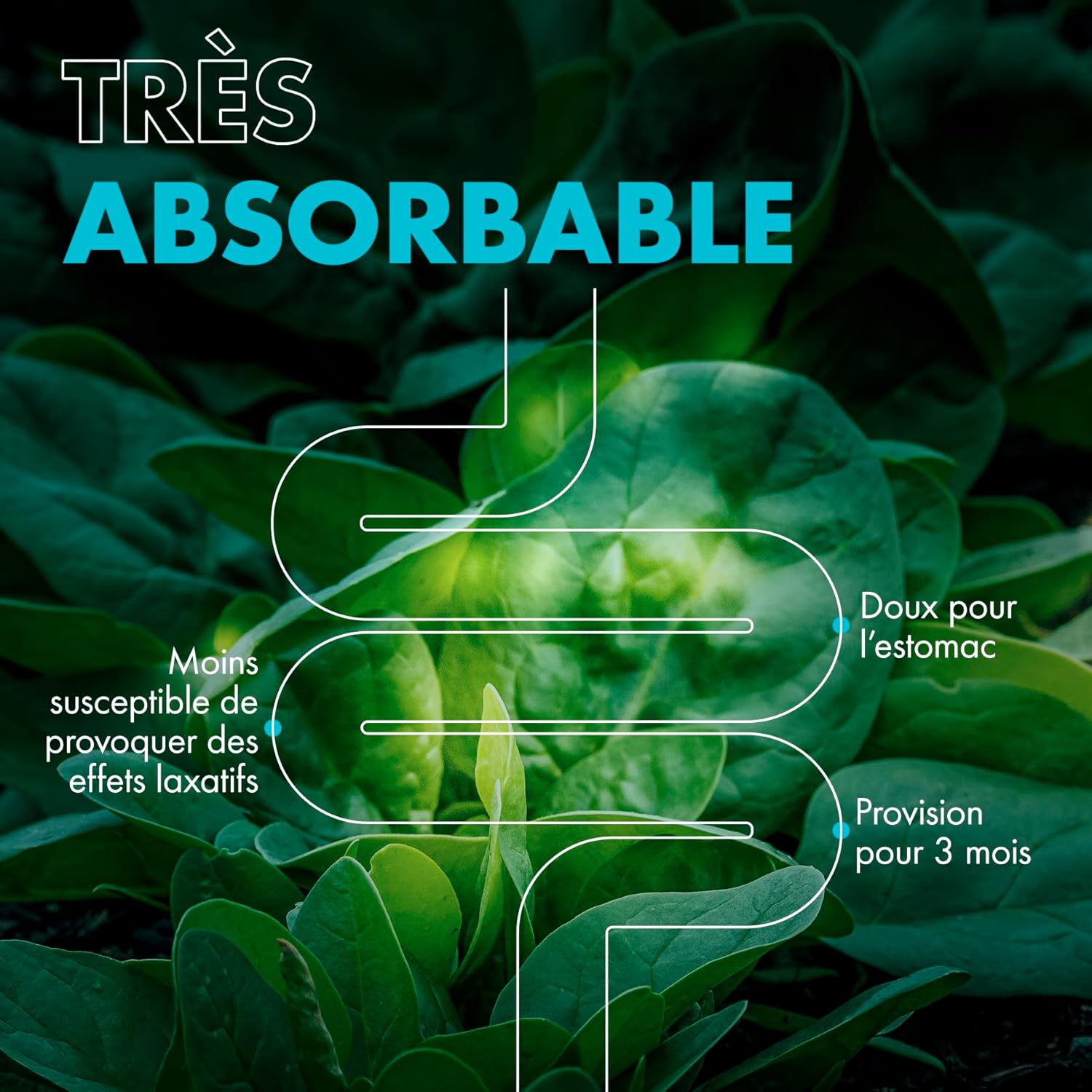 Thumbnail 4 de Magnesium bisglycinate 500 mg Qualité Premium – 100 capsules véganes (approvisionnement 3 mois)