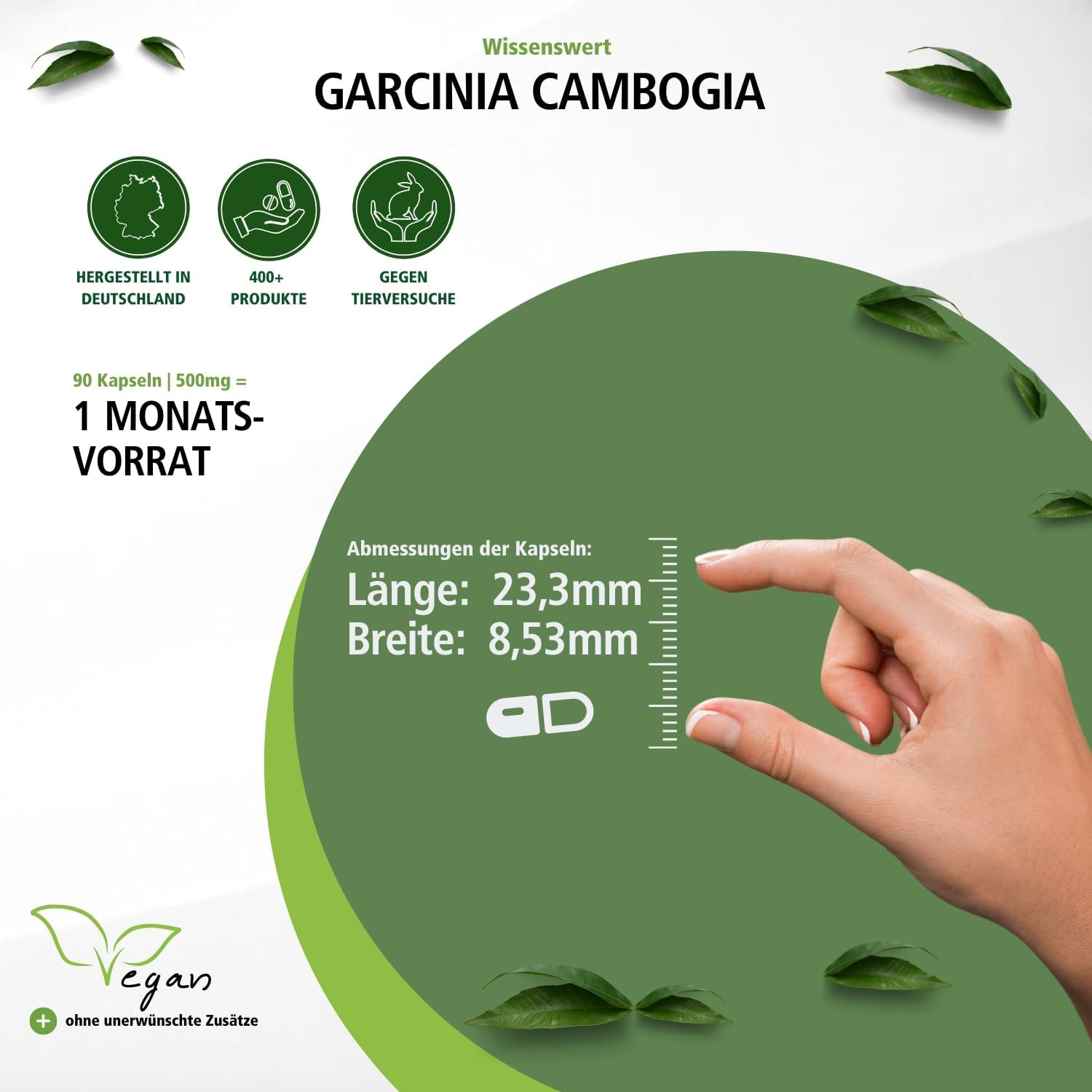 Detalle 2 de Fairvital Garcinia Cambogia Fruchtextrakt – 90 Kapseln, 1500 mg pro Tag, vegan, 60% HCA