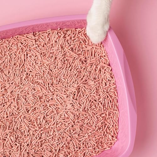 Thumbnail 6 de Cat&Rina BeNatural: lettiera per gatti al tofu da 10 L, agglomerante e vegetale