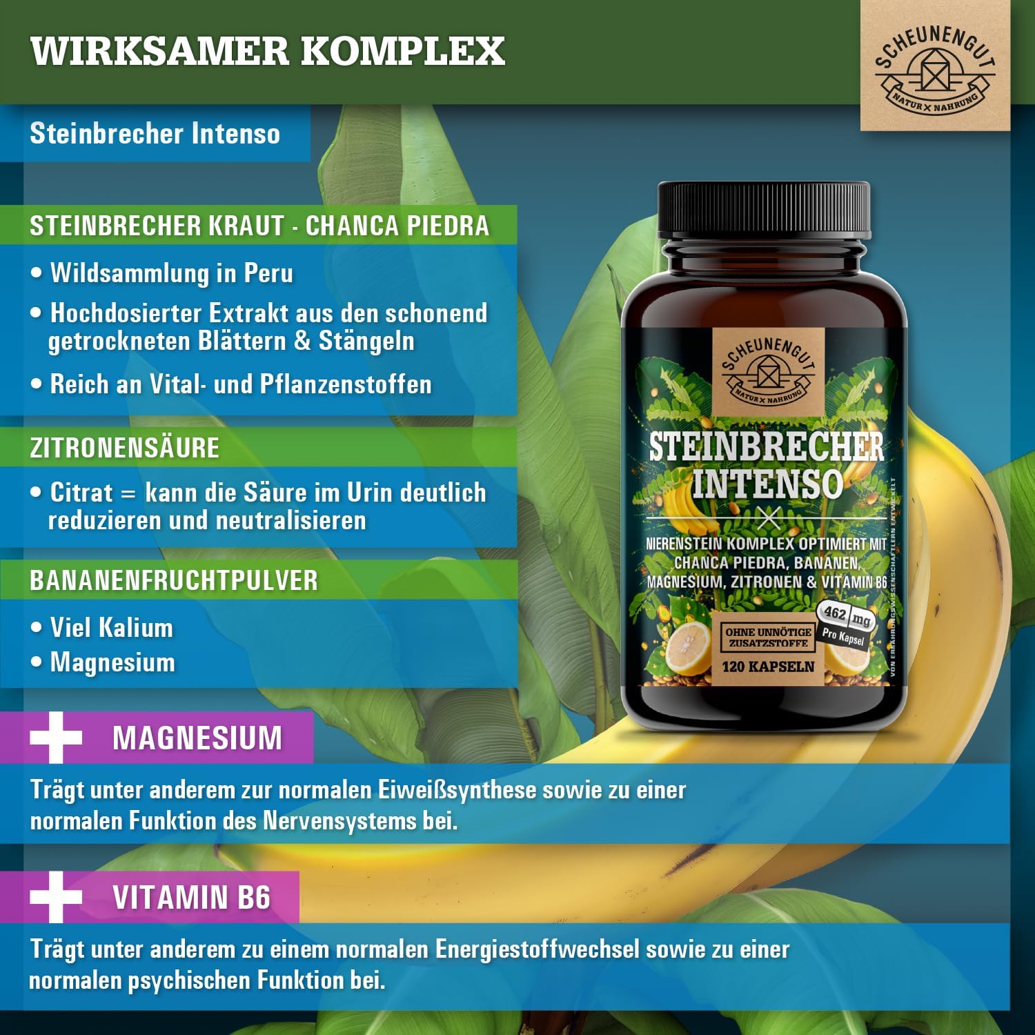 Thumbnail 2 de STEINBRECHER INTENSO® Chanca Piedra Kapseln (DE SCHEUNENGUT®) – 120 Kapseln
