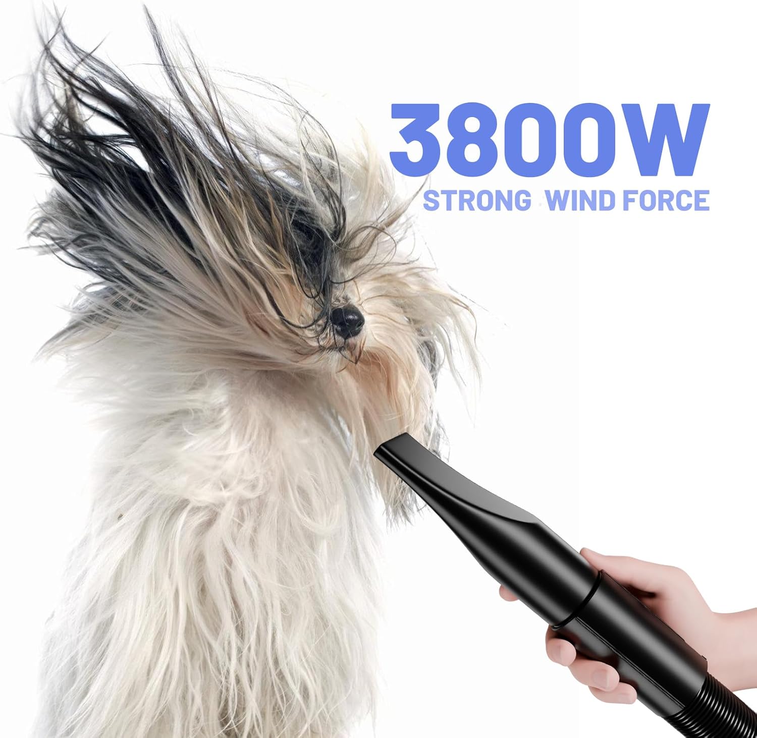 Detalle 2 de Blanlody Hundeföhn Blower 3800 W (5,2 PS) – sehr leise, stufenlos einstellbar, mit 4 Düsen