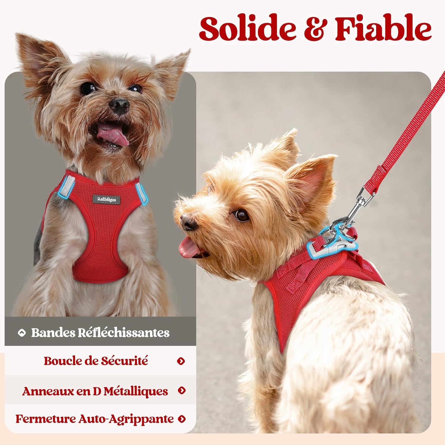 Thumbnail 4 de Harnais Chien Petite Taille avec Laisse Réfléchissant de rabbitgoo – Rouge S