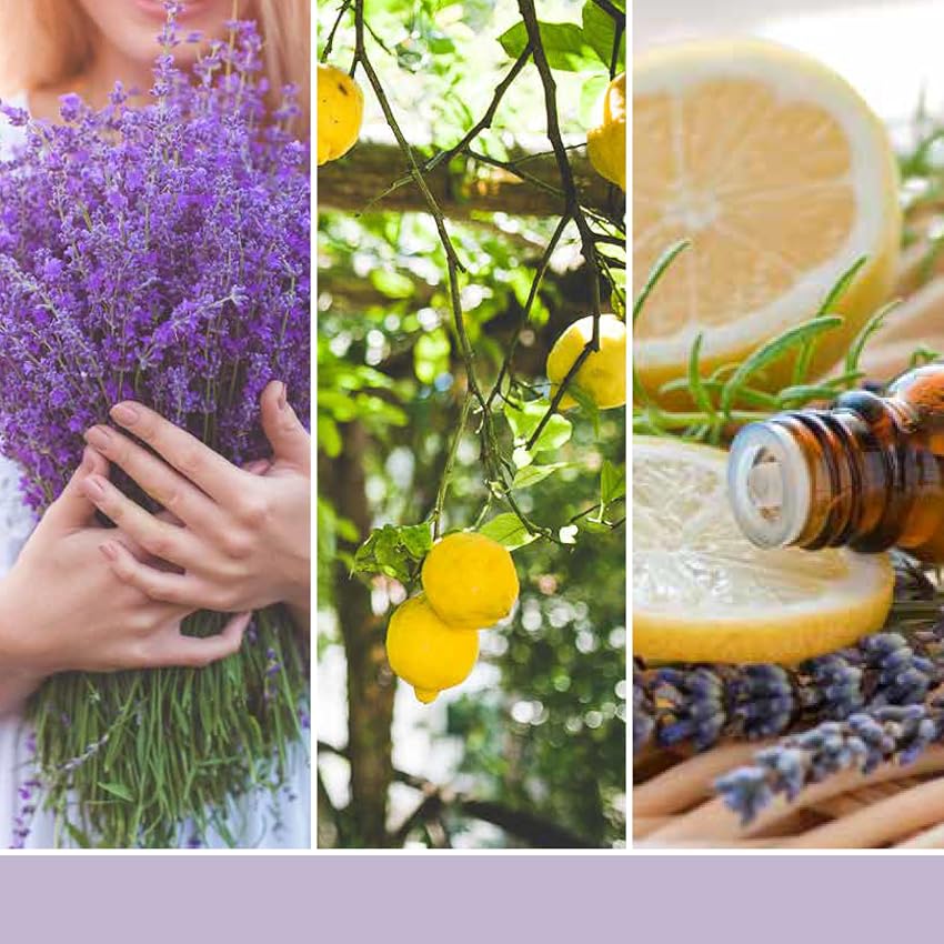 Thumbnail 5 de Yankee Candle® Vela en Tarro Lemon Lavender