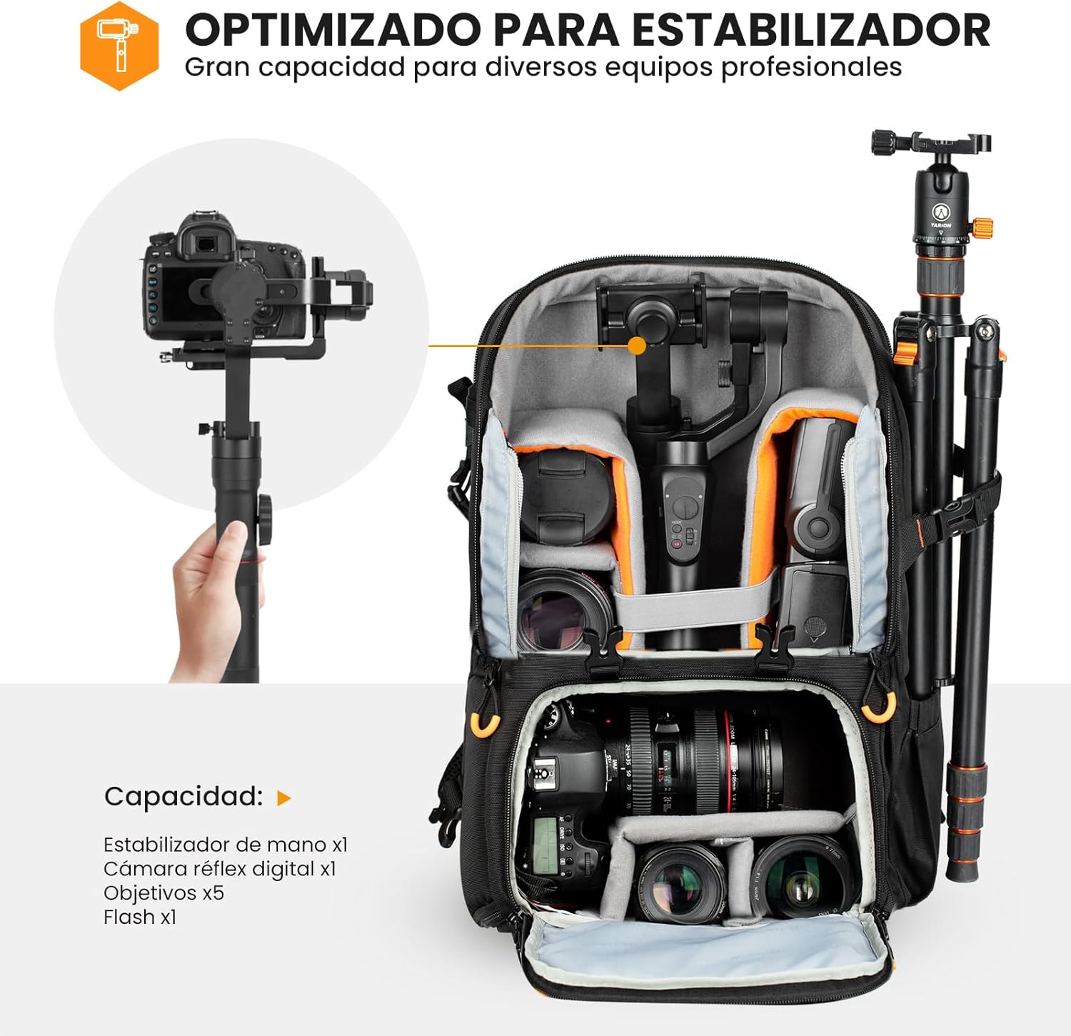 Thumbnail 3 de TARION Mochila profesional para cámara 15,6