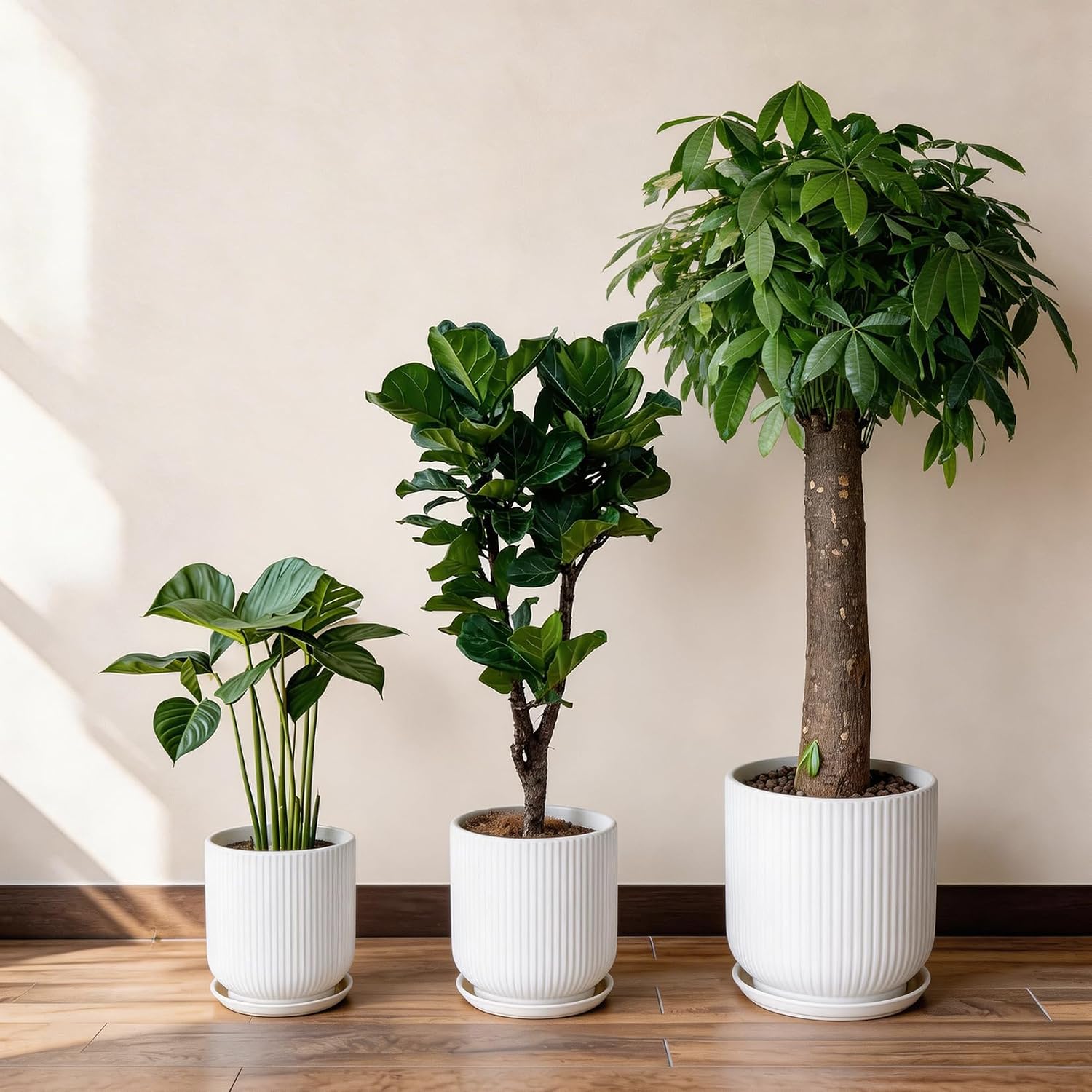 Thumbnail 6 de Deep Dream STW-8in-Planters-White 8-Inch Ceramic Planter with Drainage and Saucer