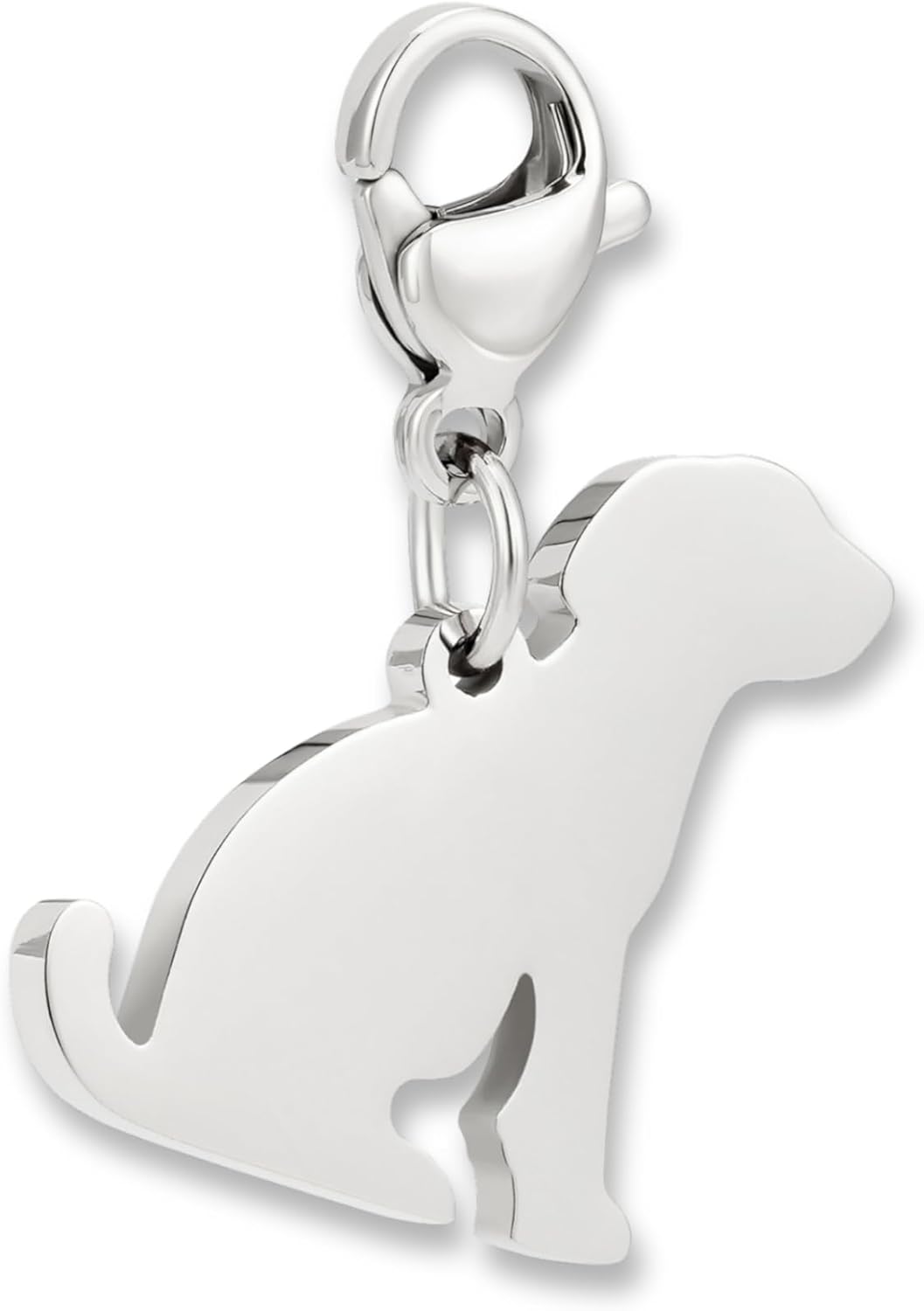 Detalle de Pendentif charm acier 316L avec fermoir mousqueton