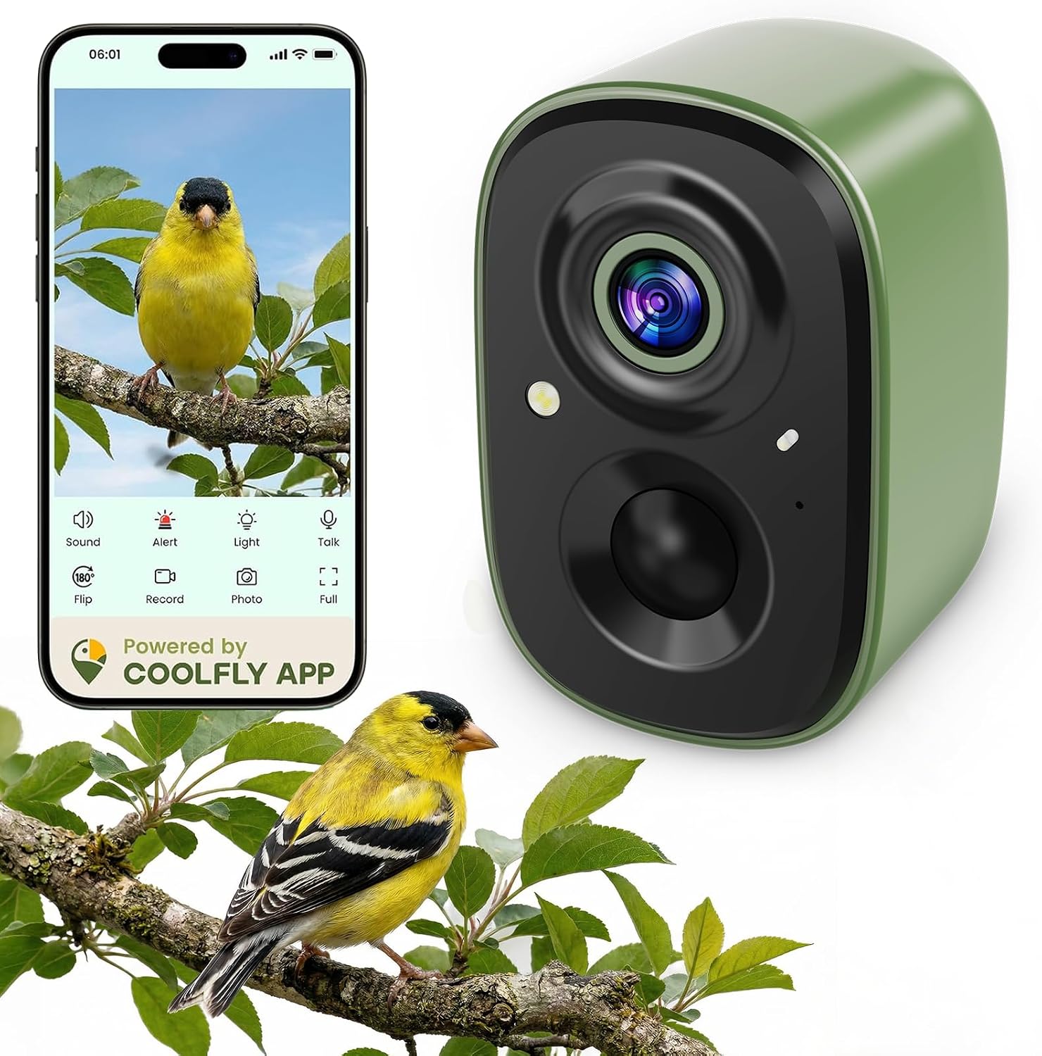 Detalle de Bird Watching Camera 2.5K