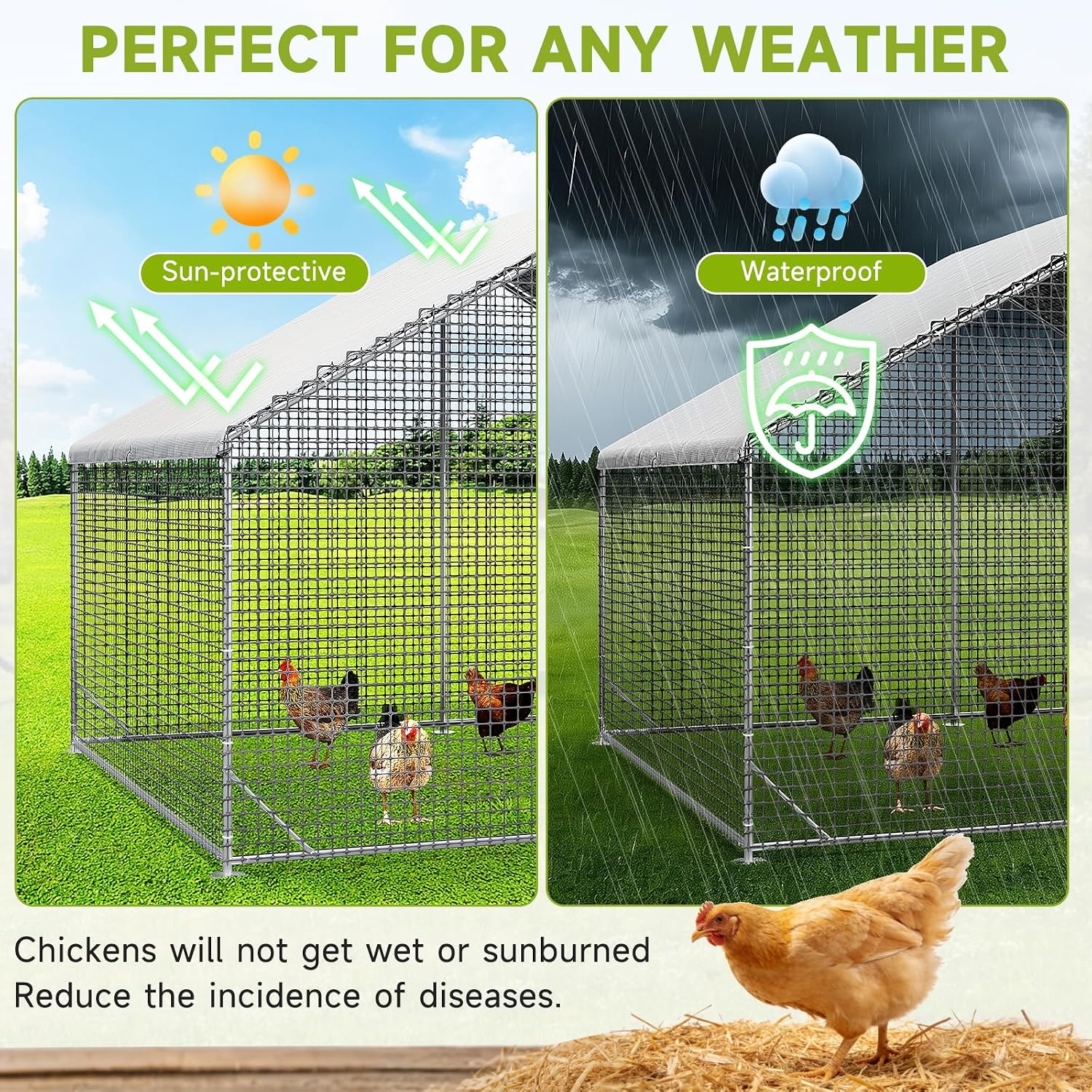 Detalle 1 de Chicken Coop with Run, 13.1 x 9.8 x 6.6 ft