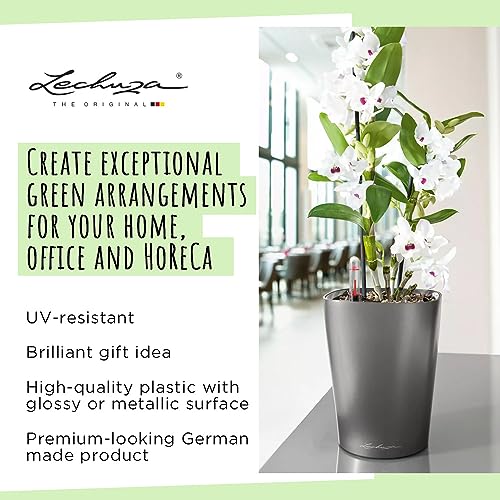 Thumbnail 4 de Lechuza 14904 Maceta Deltini Premium Kit 🌿 (14x18)