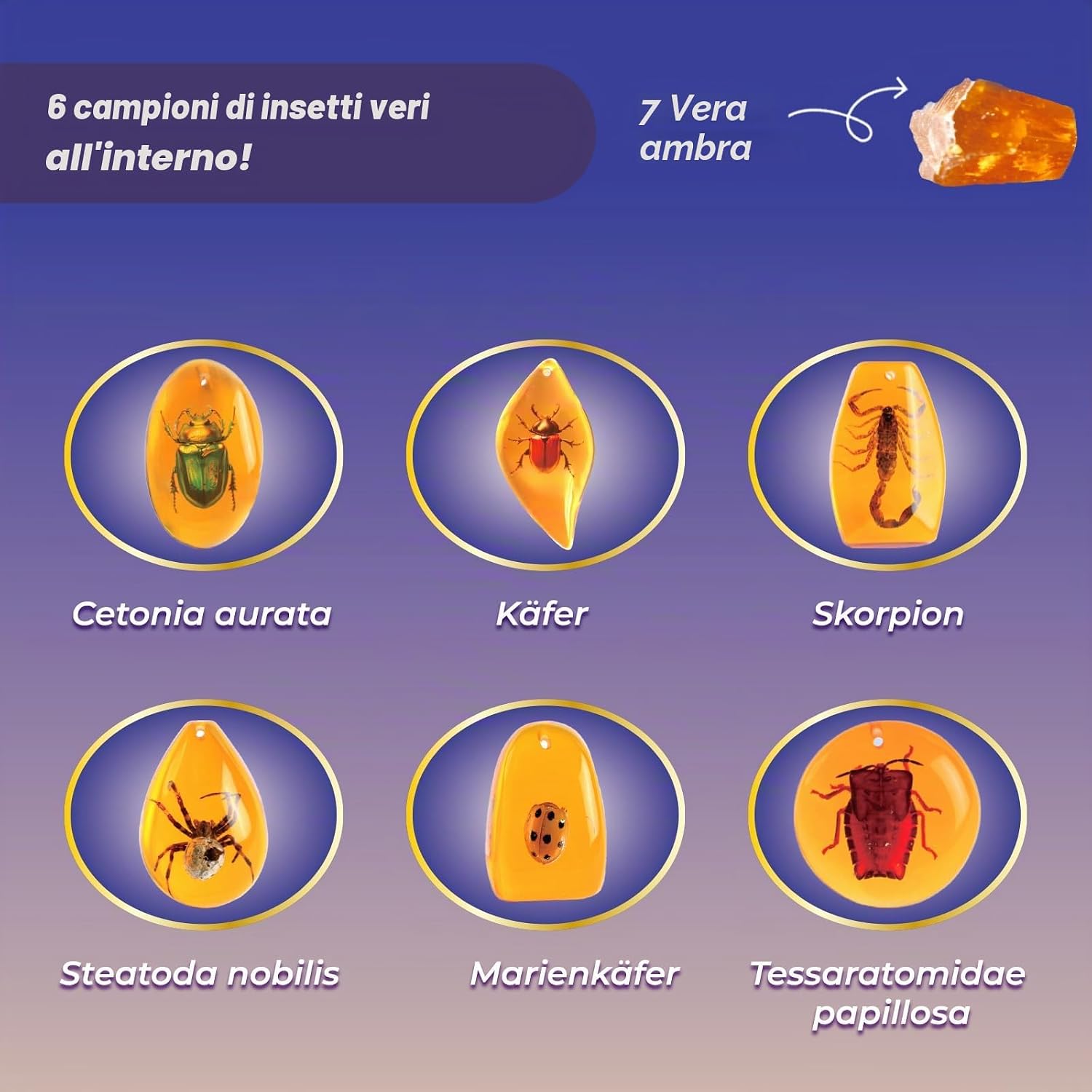 Thumbnail 6 de EDUMAN Set di Scavi in Ambra per Bambini – Esplora Fossili eInsetti con Strumenti Educativi