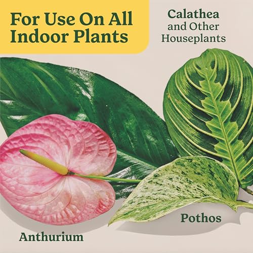 Thumbnail 8 de Miracle-Gro Indoor Plant Food for All Plants, 8 fl oz (2-Pack)