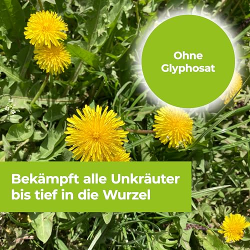 Detalle 2 de PROTECT GARDEN Permaclean Duo Unkrautvernichter, 1000 ml Konzentrat – Zweifach-Wirksystem gegen Unkraut, Algen und Moose