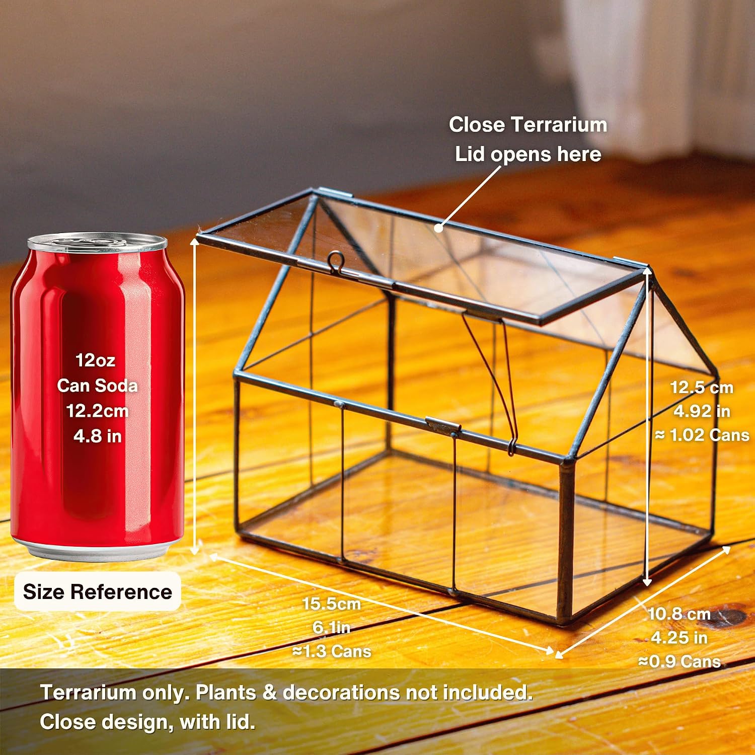 Detalle de NCYP mini glass terrarium, 15.5 cm