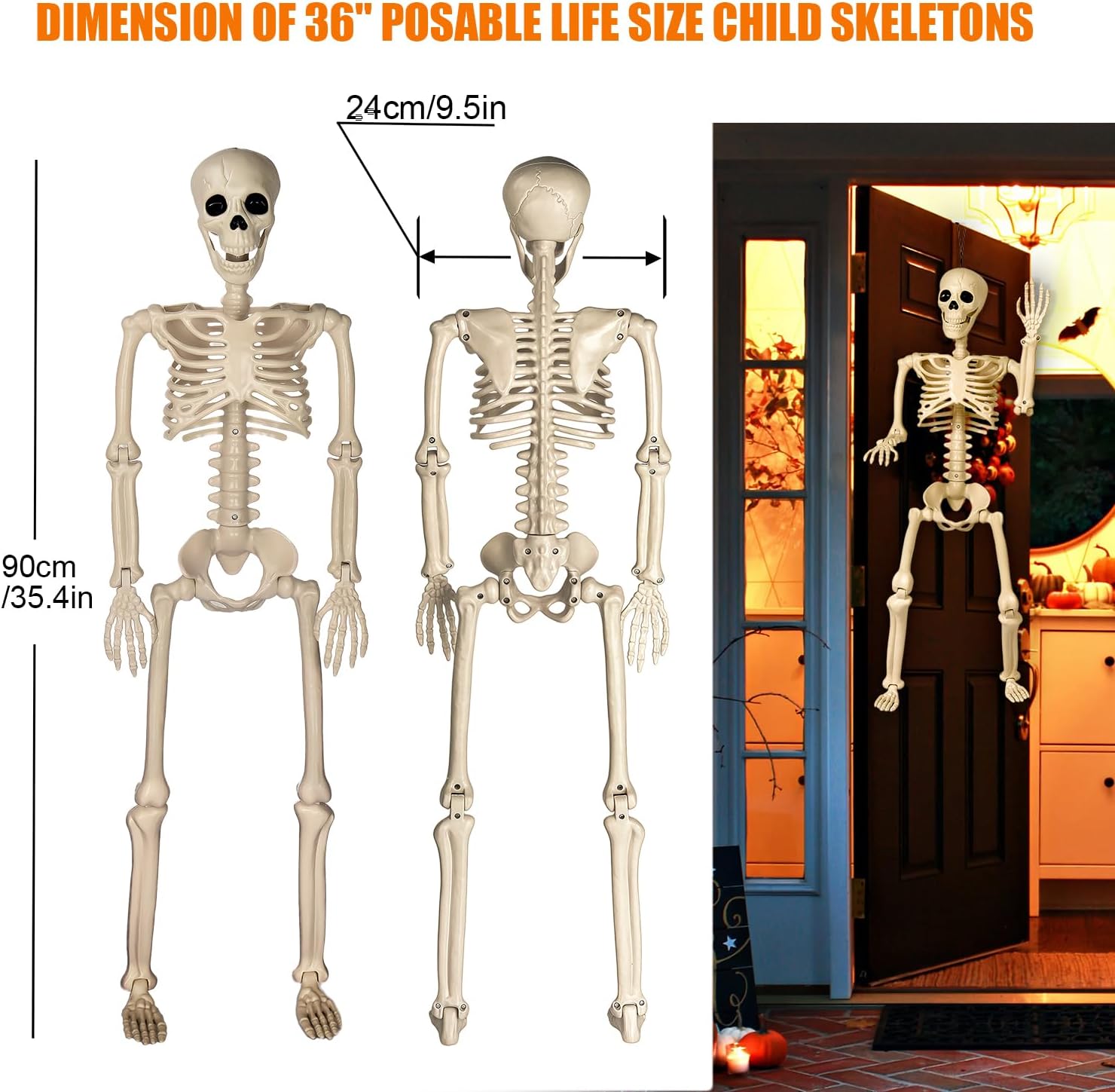Thumbnail 5 de LX002 2-Pack 36-Inch Posable Plastic Halloween Skeletons, Warm Bone Color