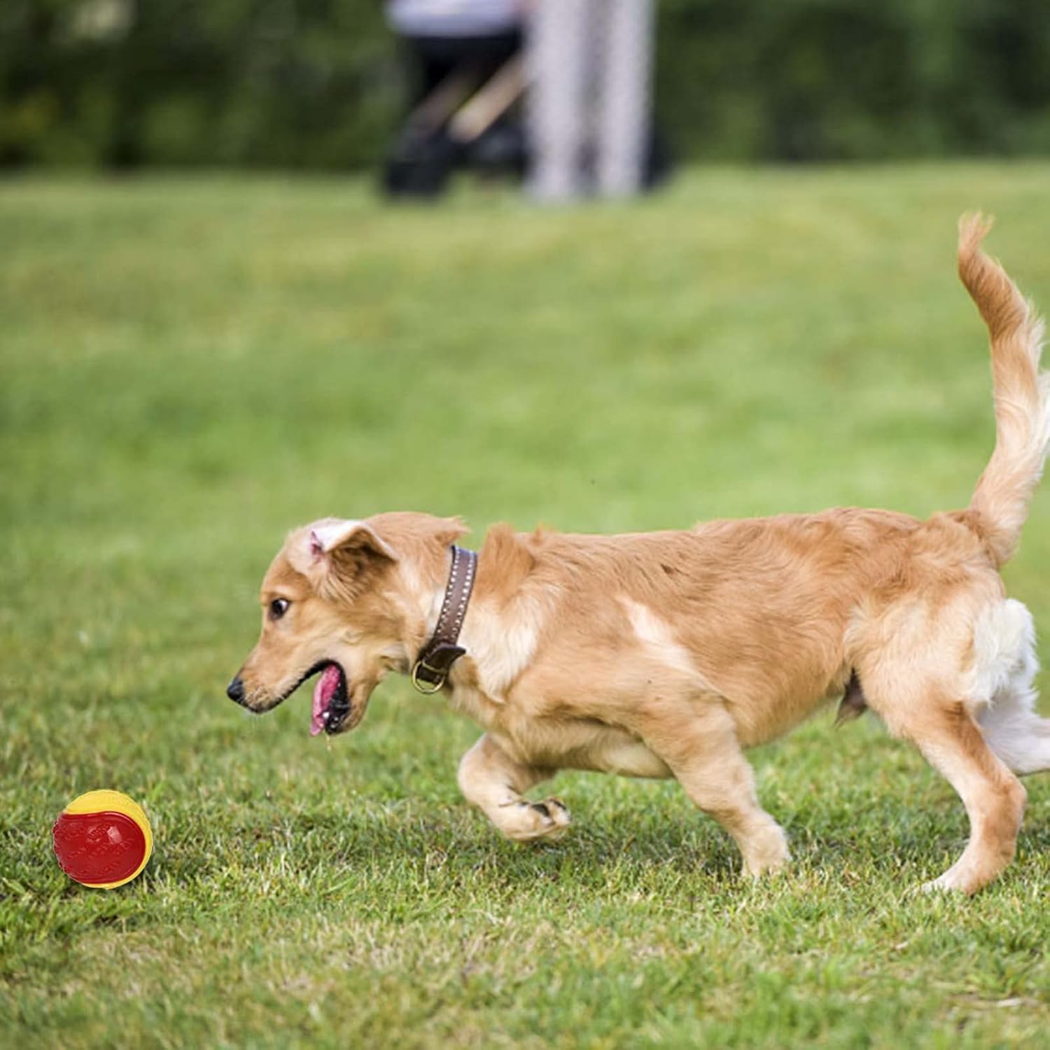 Thumbnail 6 de Sricam 6Pcs Squeaky Dog Ball 6.5cm