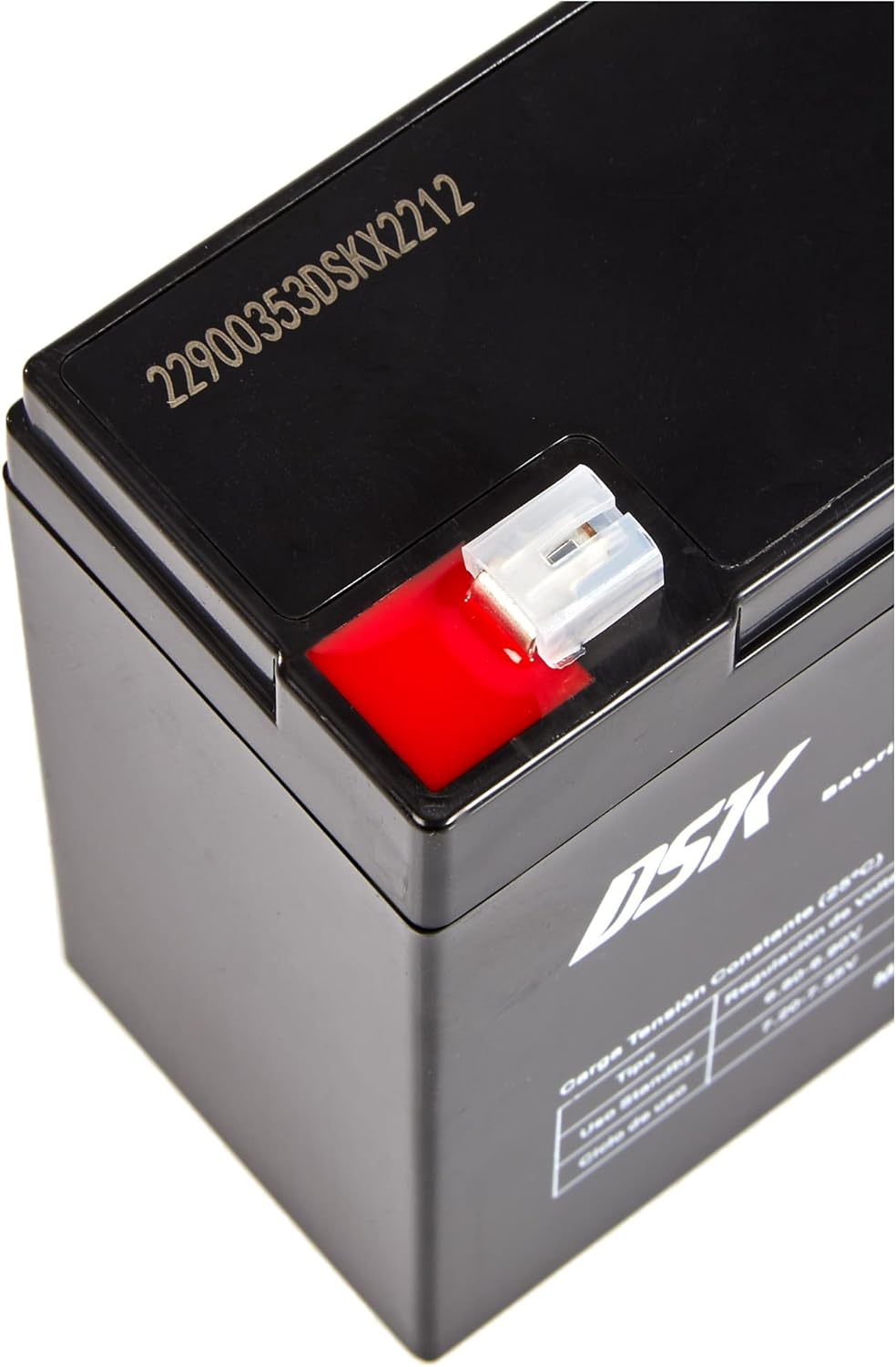 Detalle 2 de DSK 10321 AGM-Bleibatterie, 6 V und 12 Ah – versiegelt, wiederaufladbar