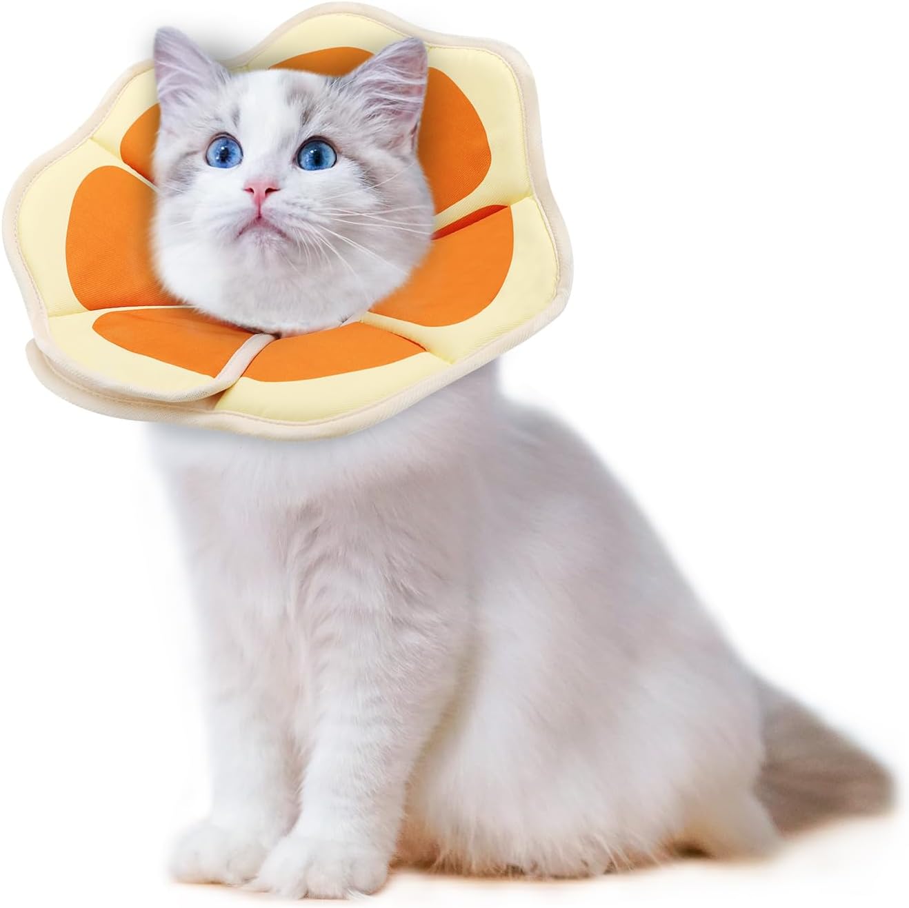 Thumbnail 2 de Supet weiche Fruit-Style Halskrause für Katzen & kleine Hunde – verstellbare Recovery-Cone nach OP