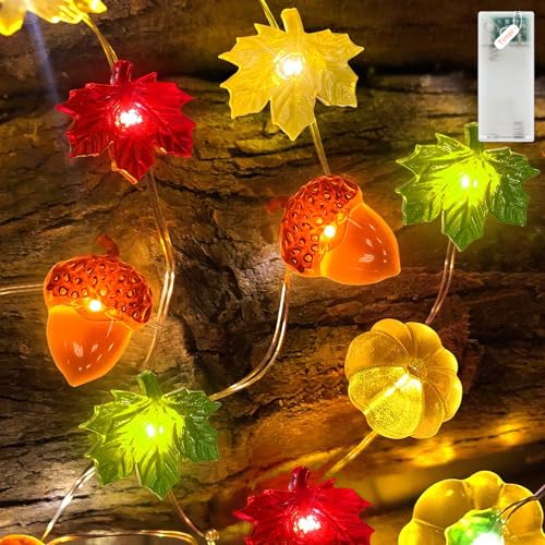 Detalle de Liyade Guirlande lumineuse d'automne, 2,2 m - 20 LED 3D, minuterie et piles