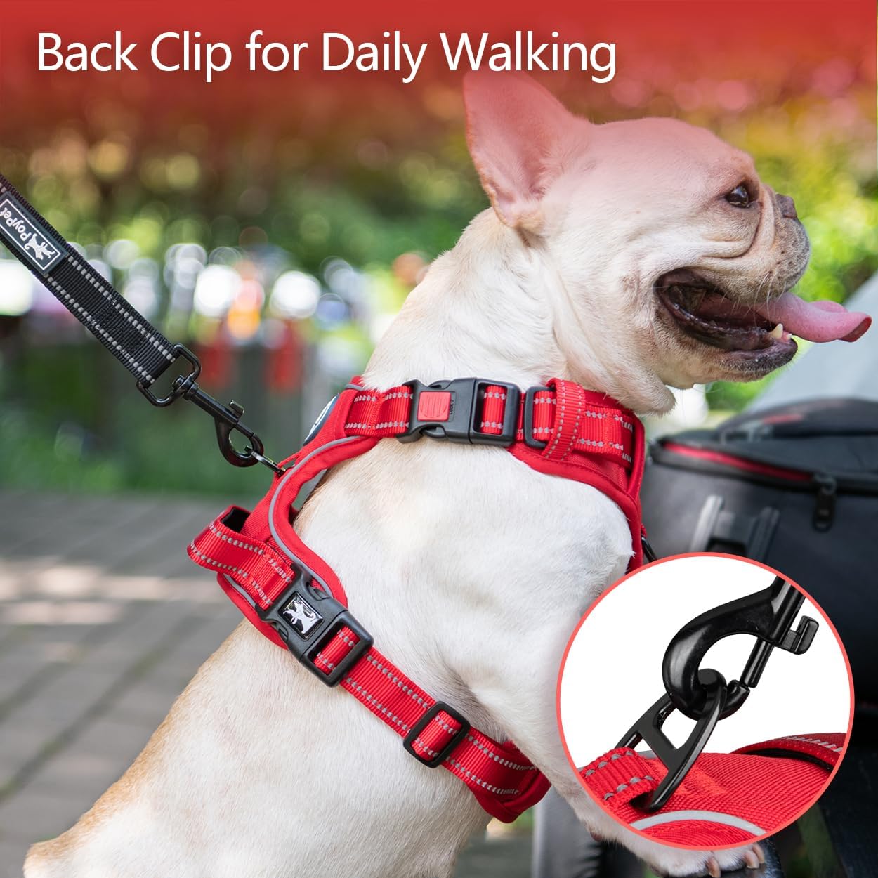 Thumbnail 4 de PoyPet No Pull Dog Harness (Red Matching Trim) – Reflective, Adjustable M, No-Choke with Front & Back Leash Attachments
