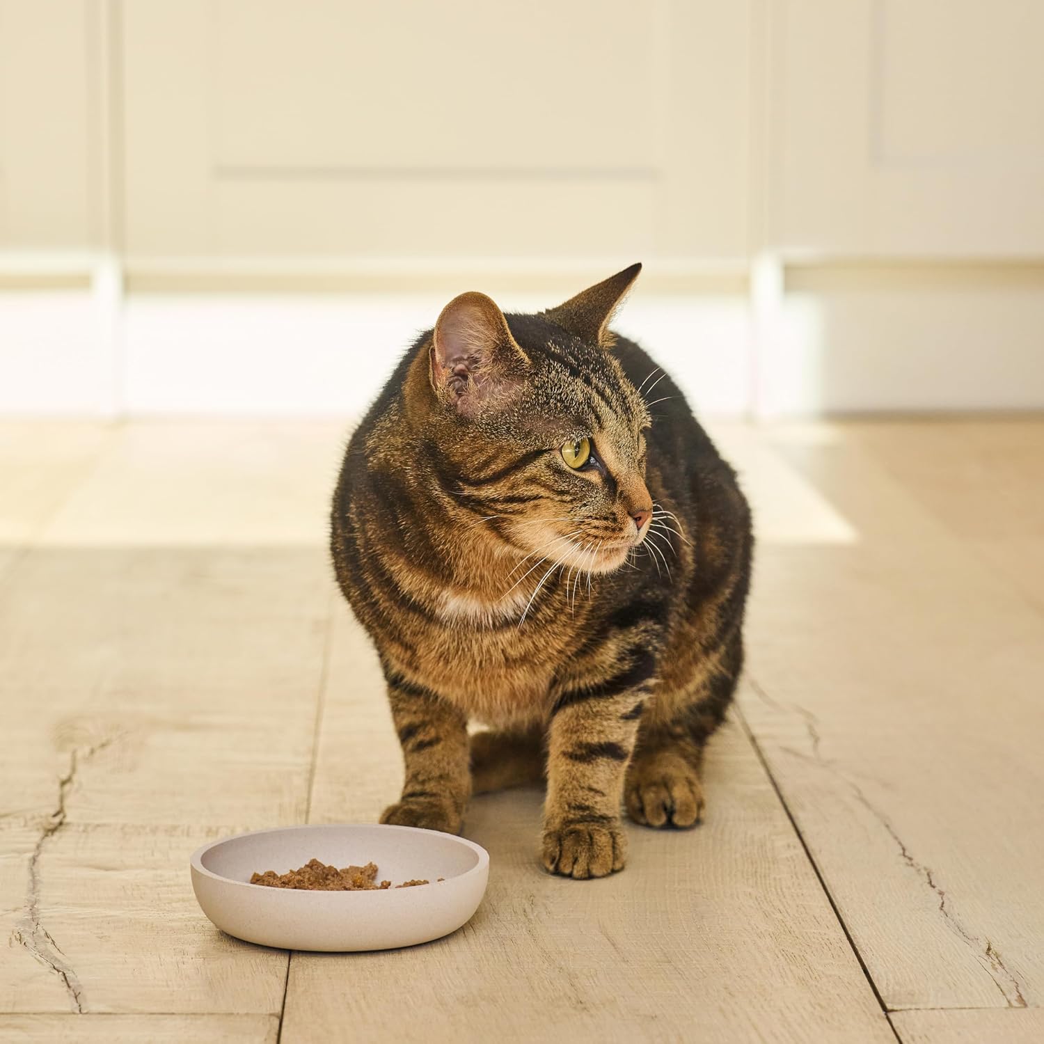Detalle de Lily's Kitchen Nassfutter-Schale für Katzen – Bio-Huhn, getreidefrei, 19 x 85 g