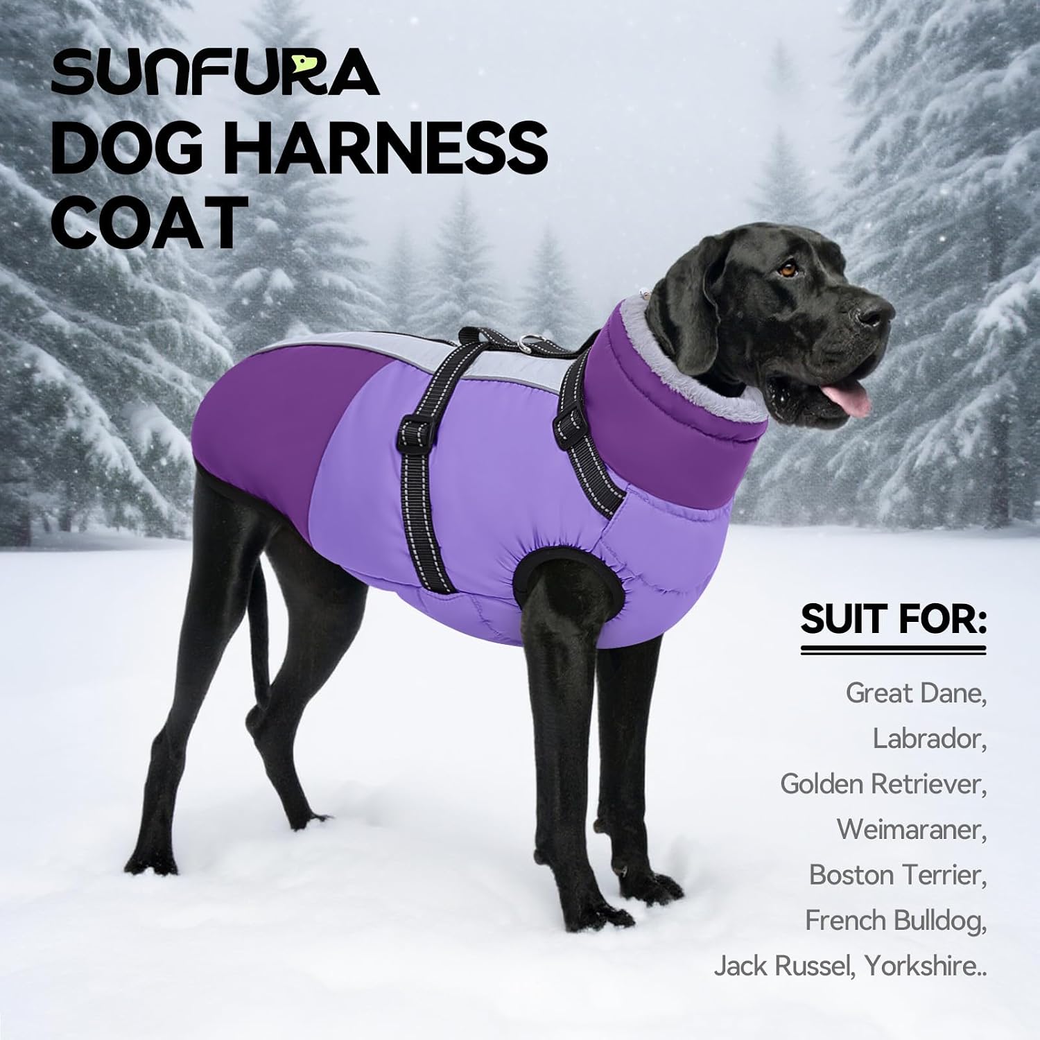 Thumbnail 6 de SUNFURA Dog Coat, Size S