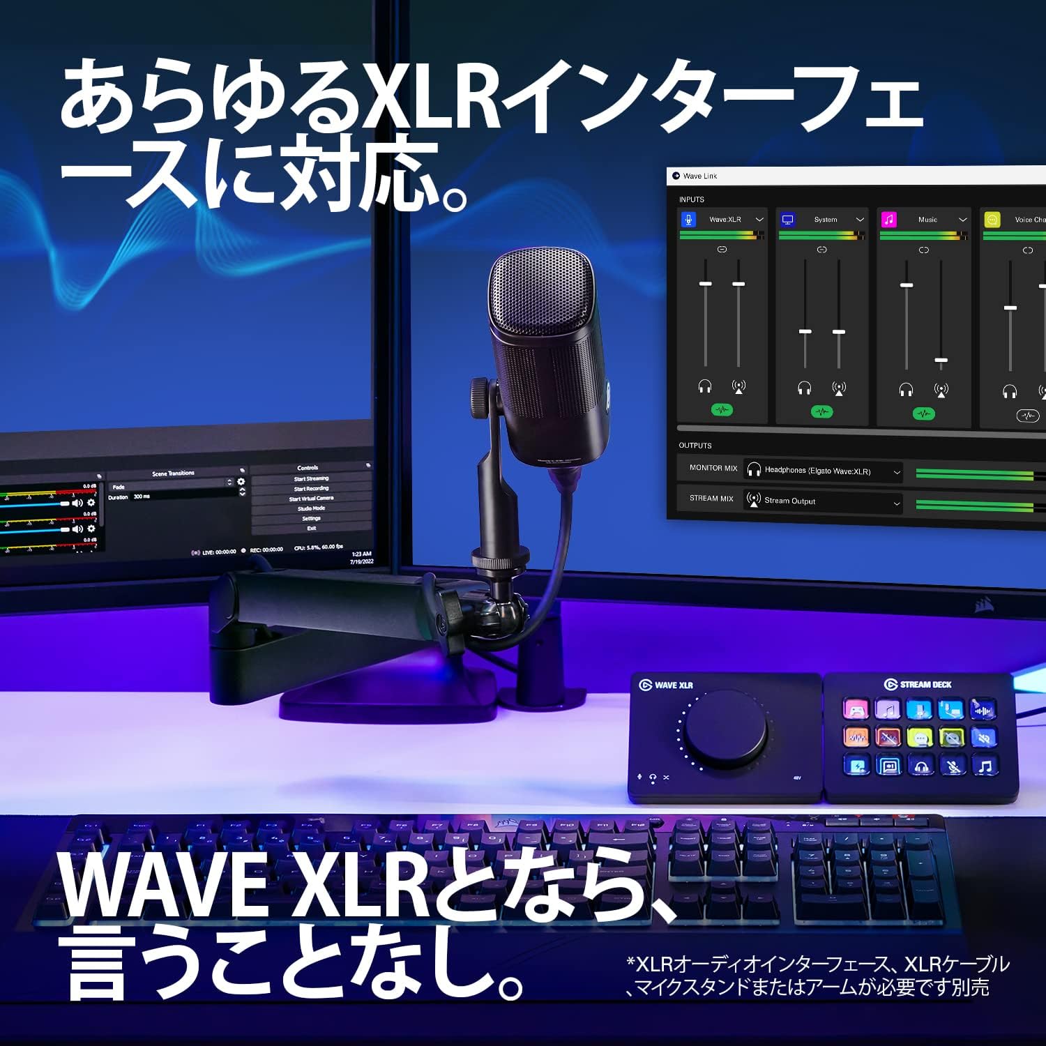 Thumbnail 6 de Elgato Wave DX ダイナミックXLRマイク、単一指向性・発話向け設計