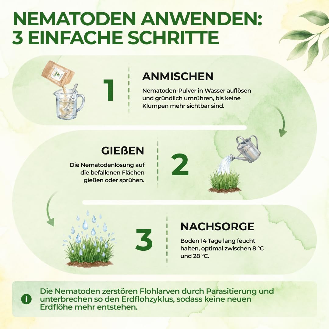 Detalle 2 de GREEN GUARDIA Super SF-Nematoden gegen Erdflöhe – 10 Mio. für 20m²
