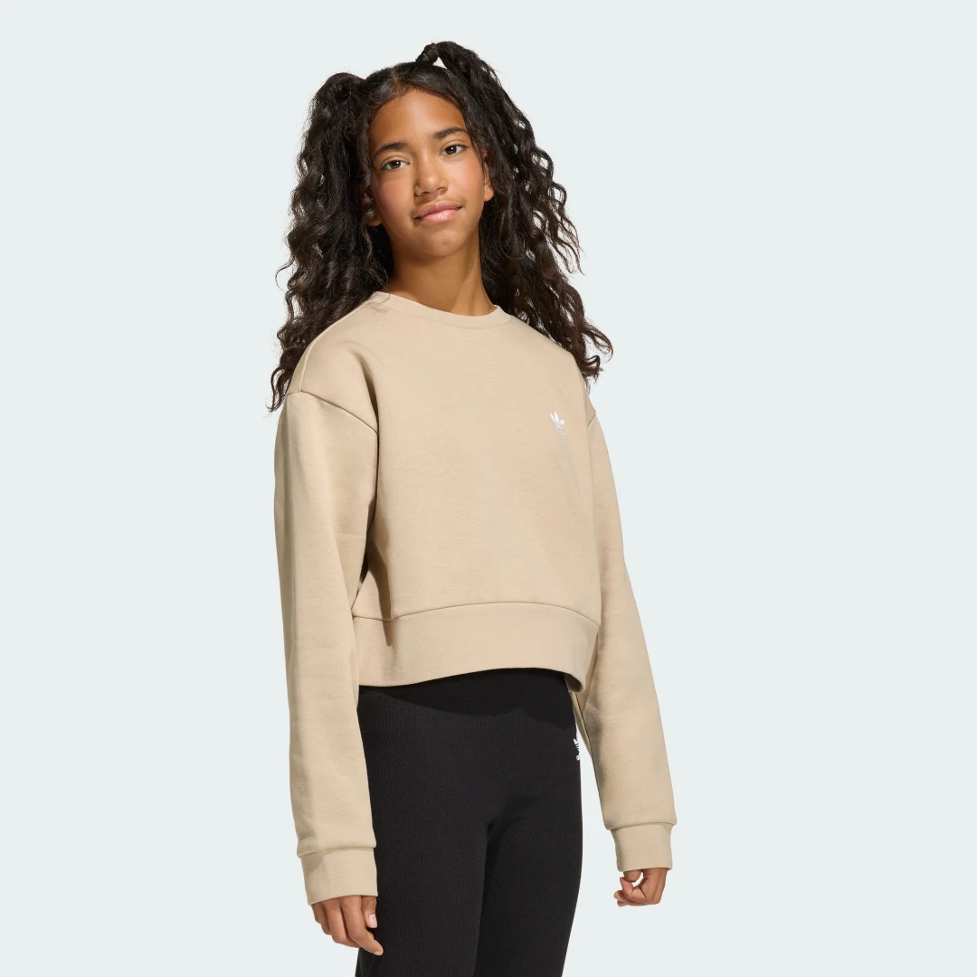 Detalle de Sudadera de cuello redondo Boxy Adidas – beige